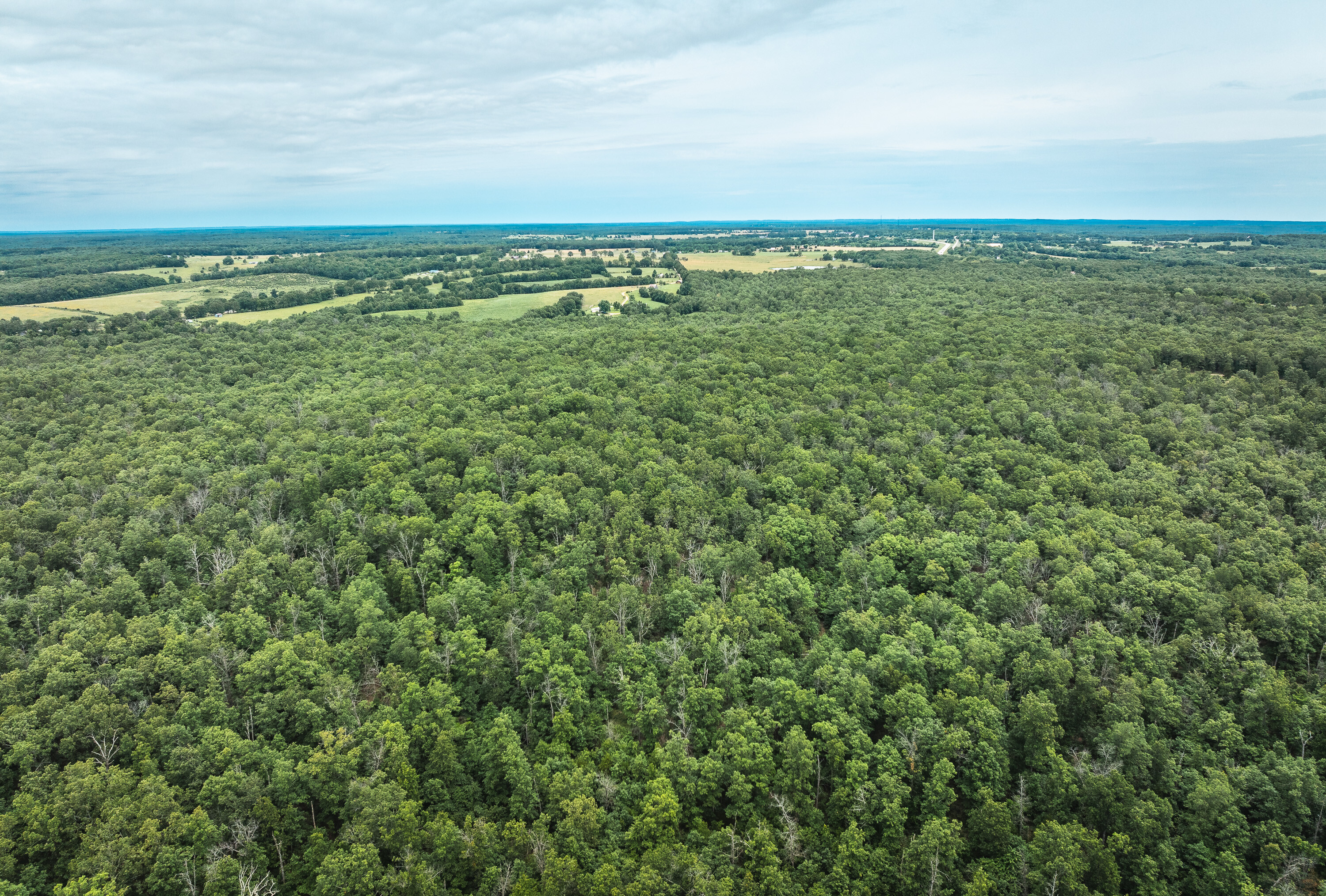Phelps County Land & Timber 2 Tracts