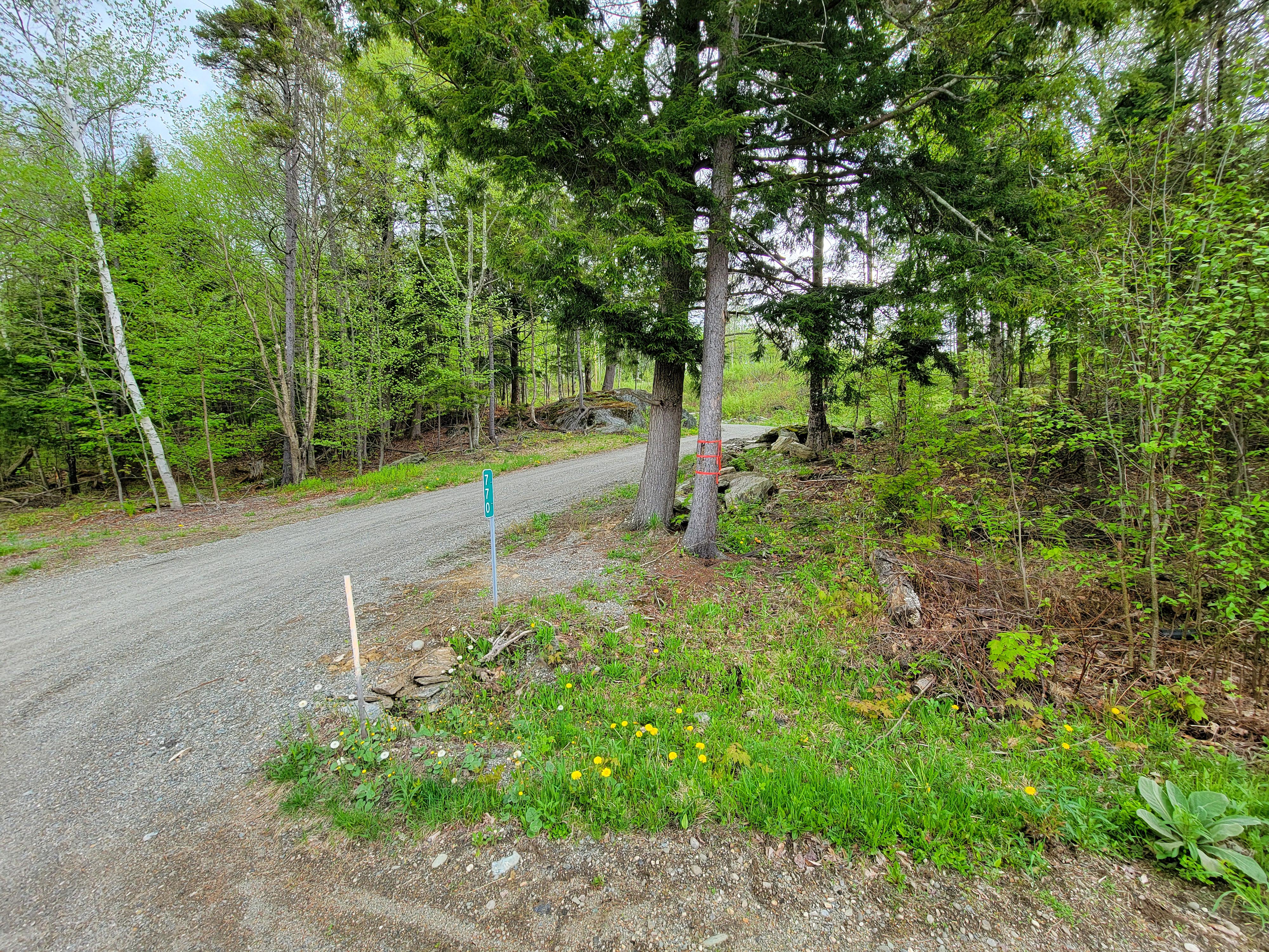 Listing Image 36
