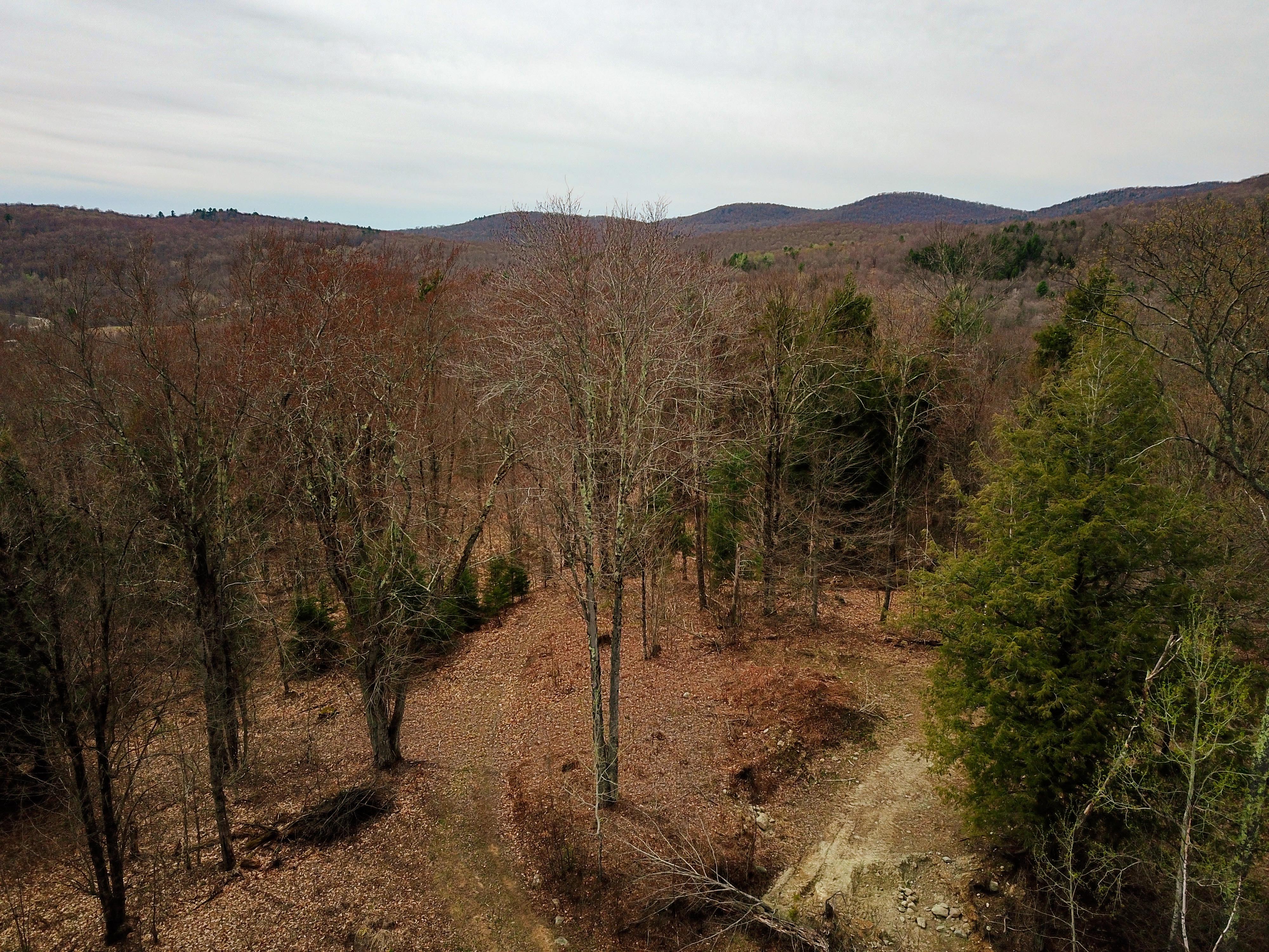 Listing Image 58