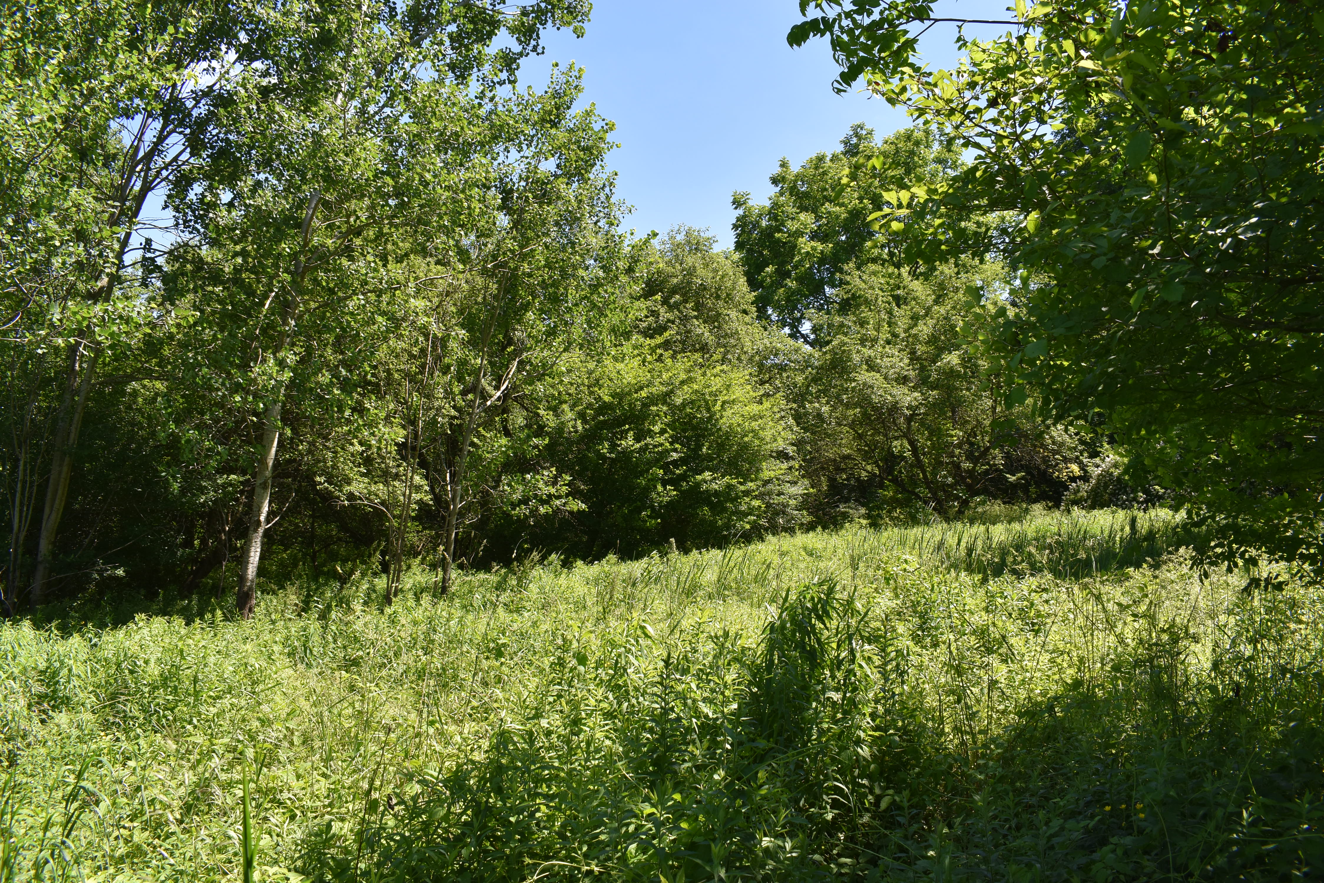 Fabulous Farrington Hollow