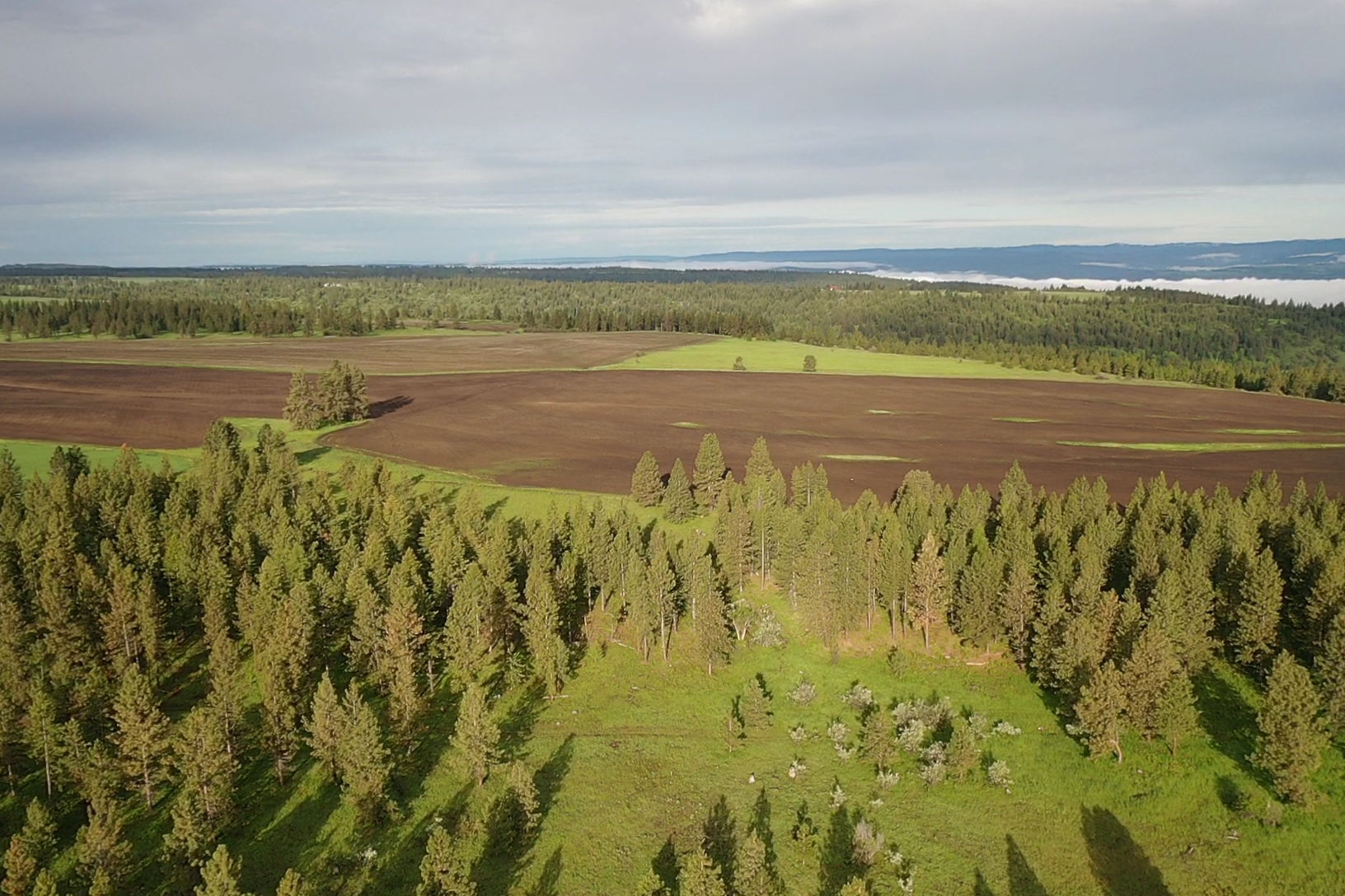 Buford Ridge Ranch
