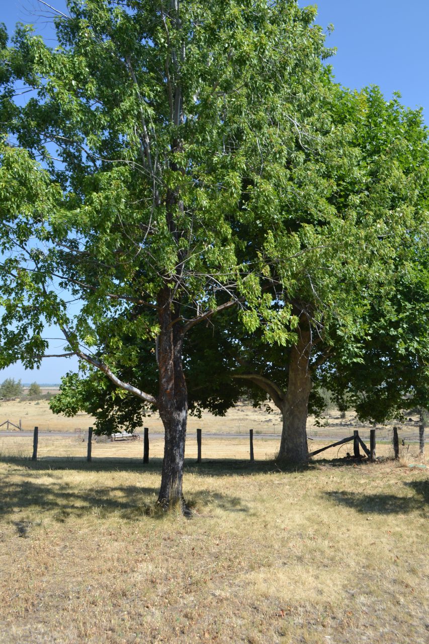 Listing Image 40
