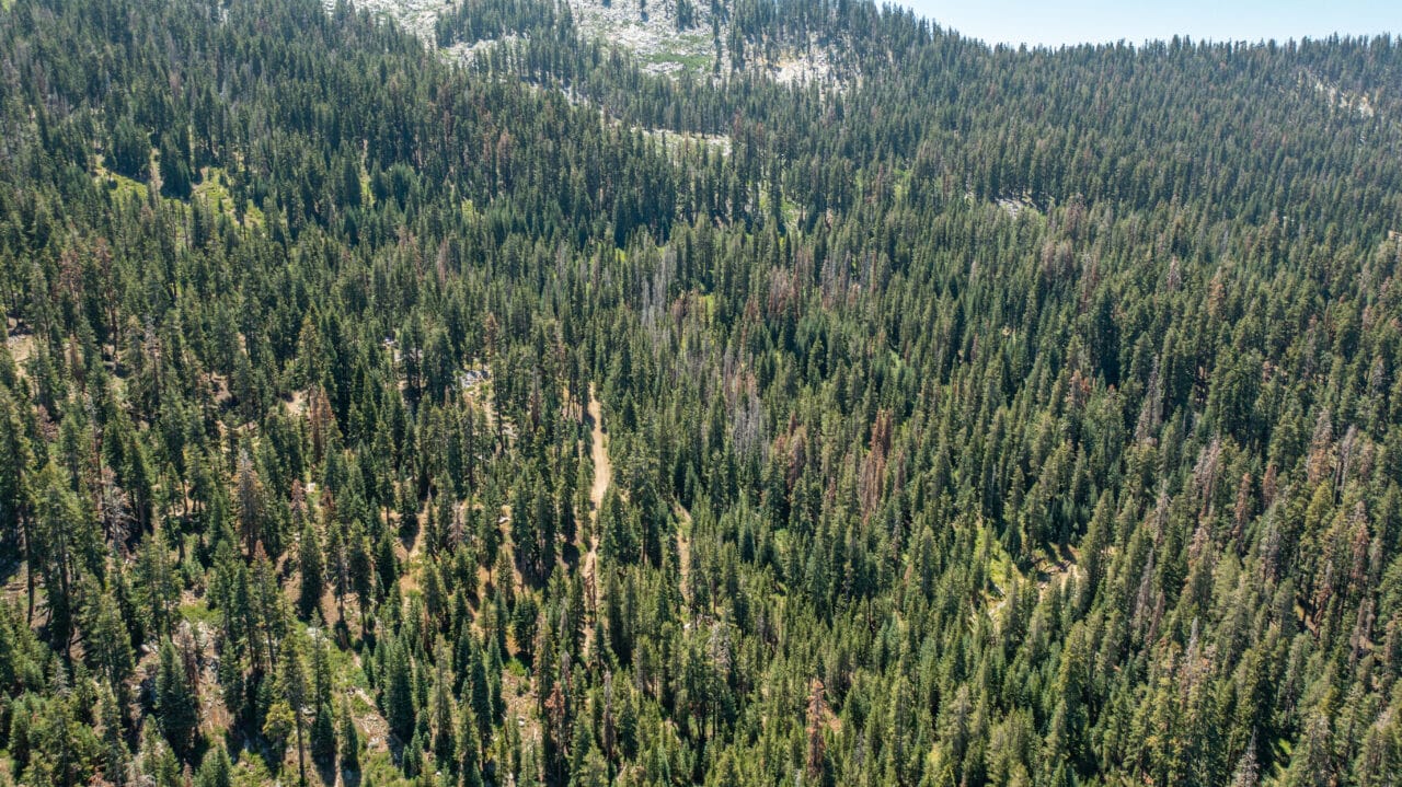 Sequoia High Sierra Camp