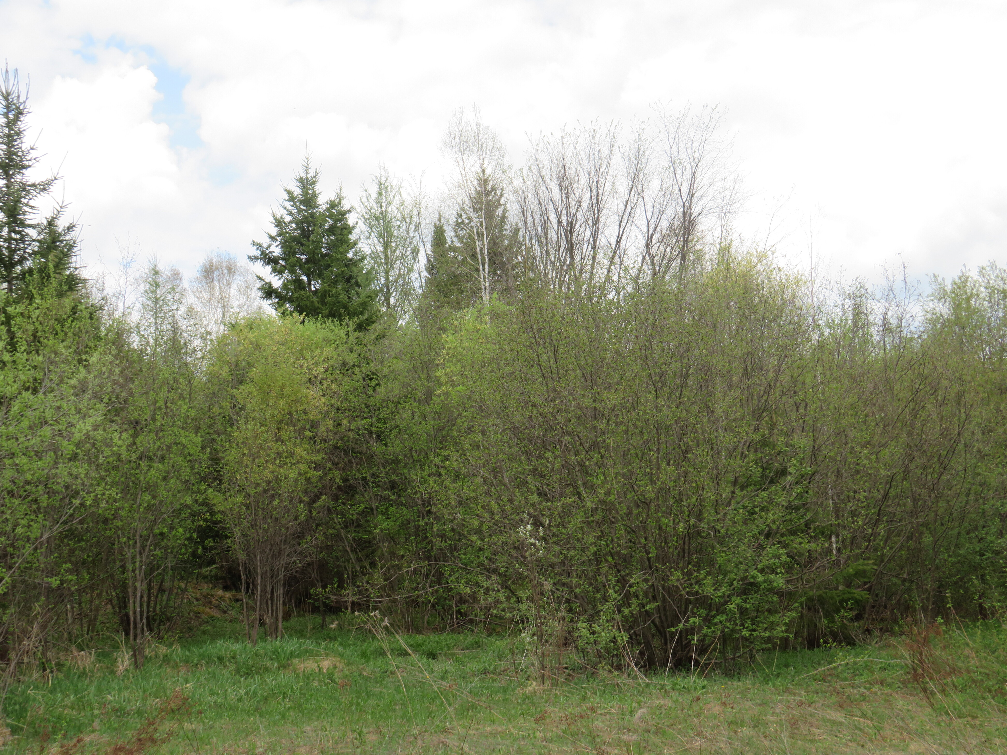160 Acre Wilderness Retreat 50175391