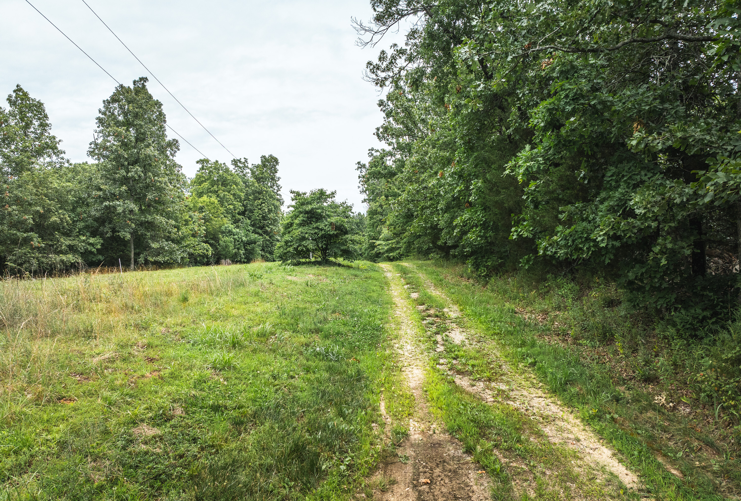 Phelps County Land & Timber 2 Tracts