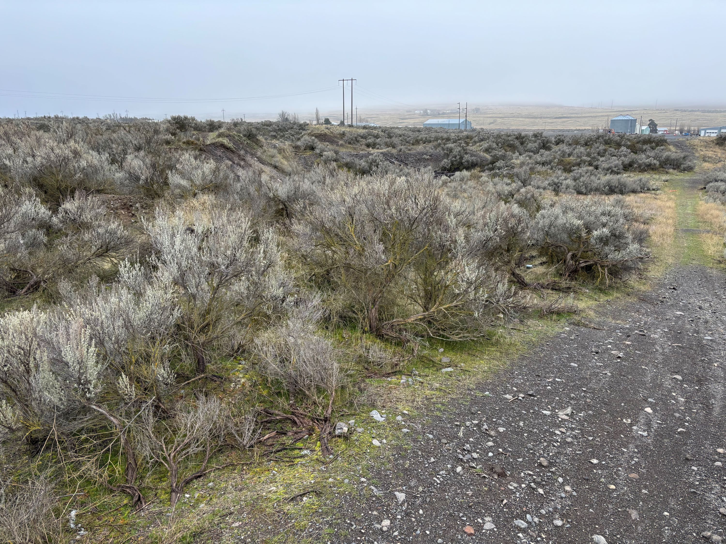 Over 10 Acres with room to Play!