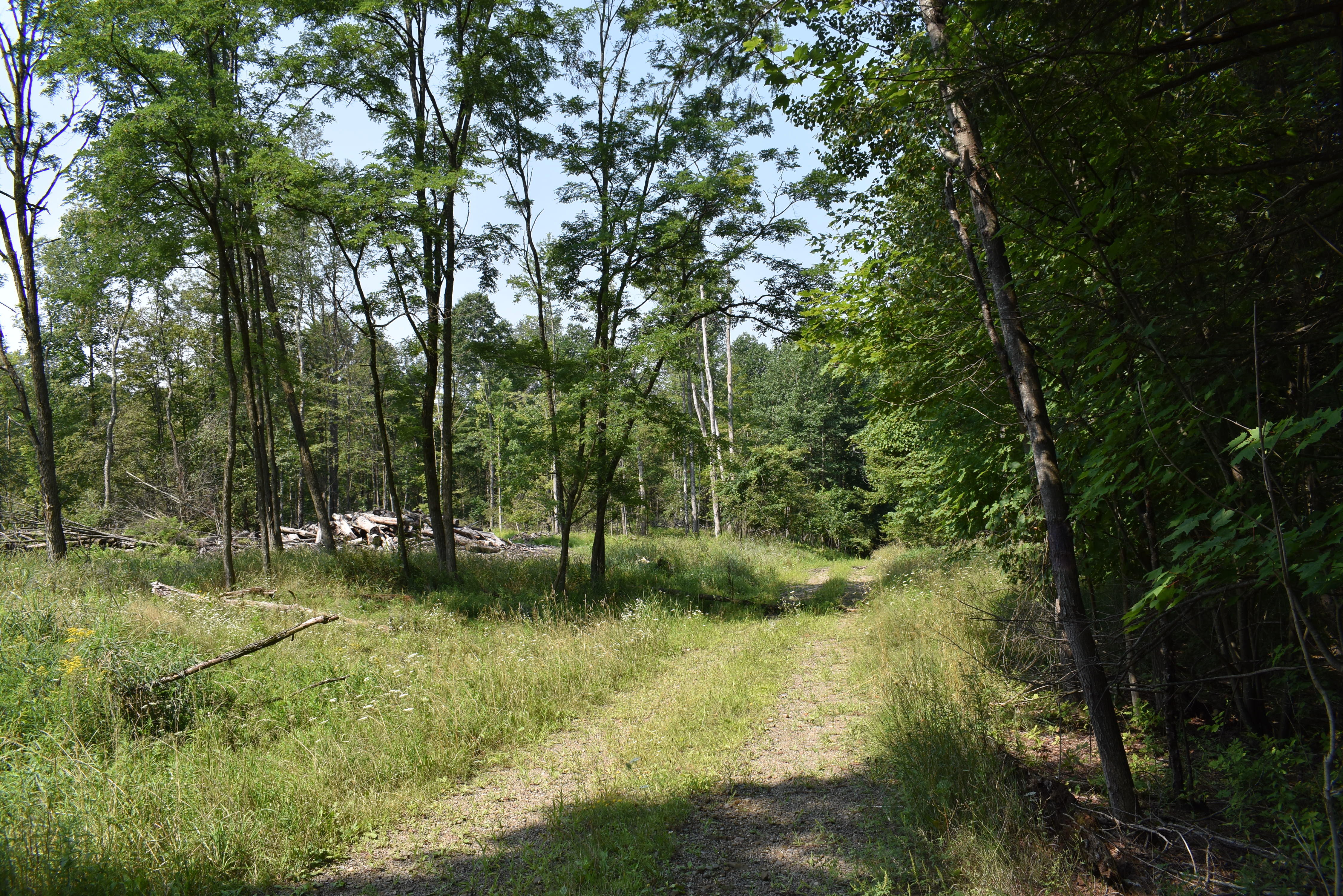 Listing Image 33