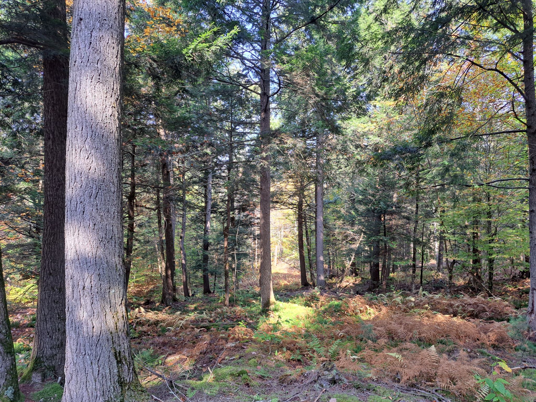 Listing Image 58