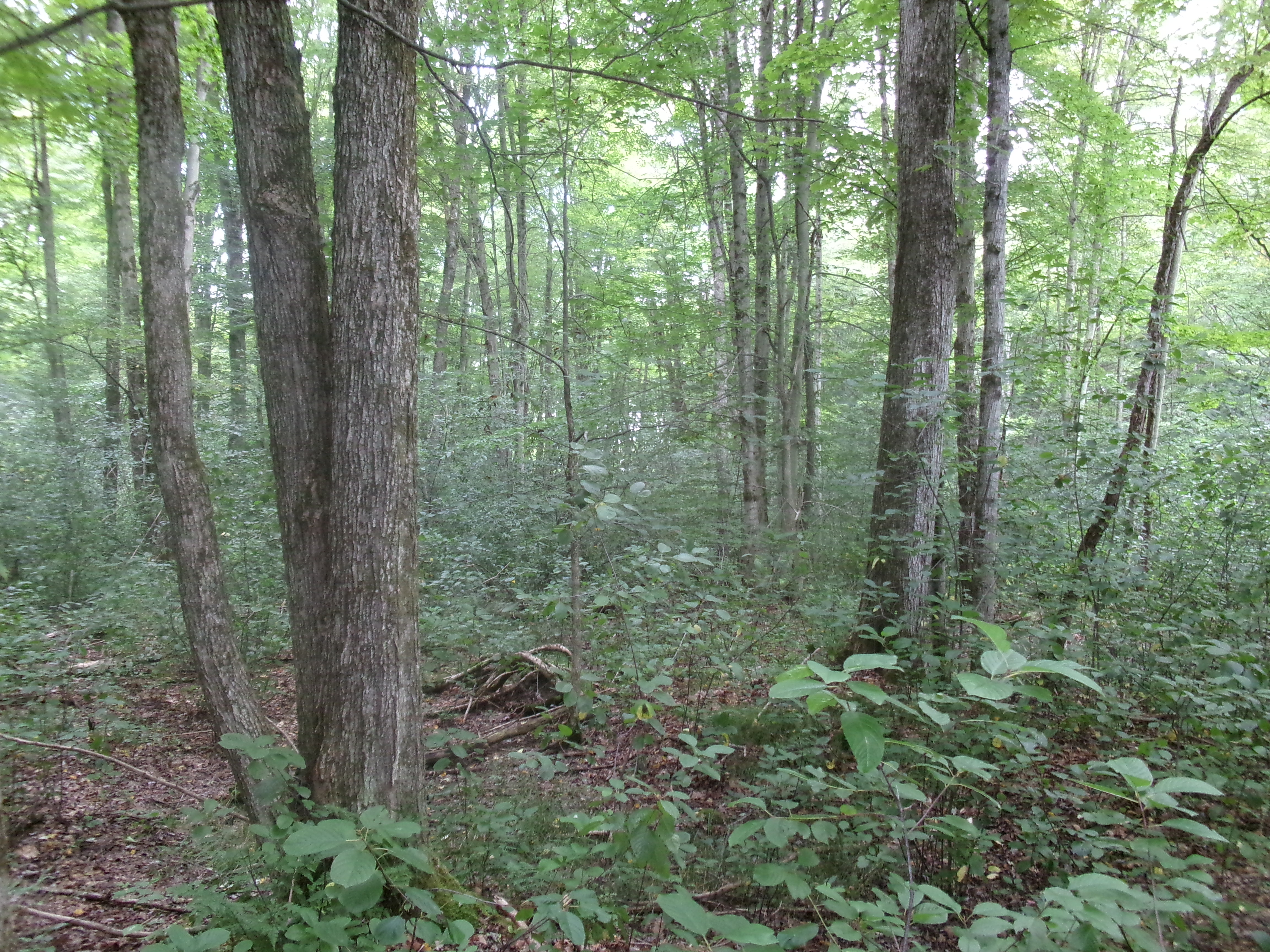 Listing Image 8