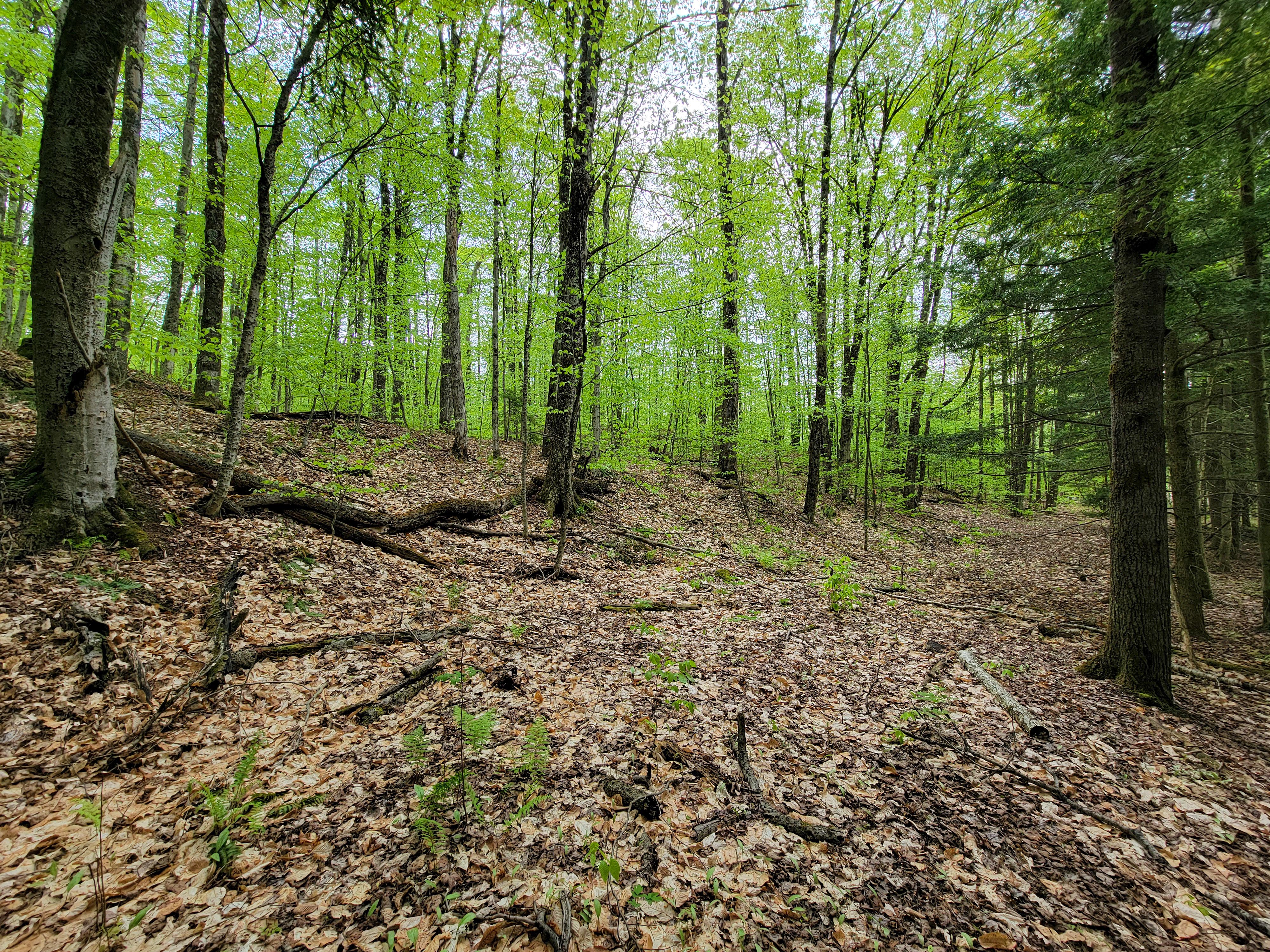 Listing Image 52