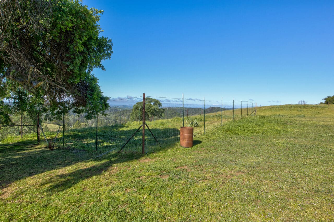 Trembath Mountain Vista