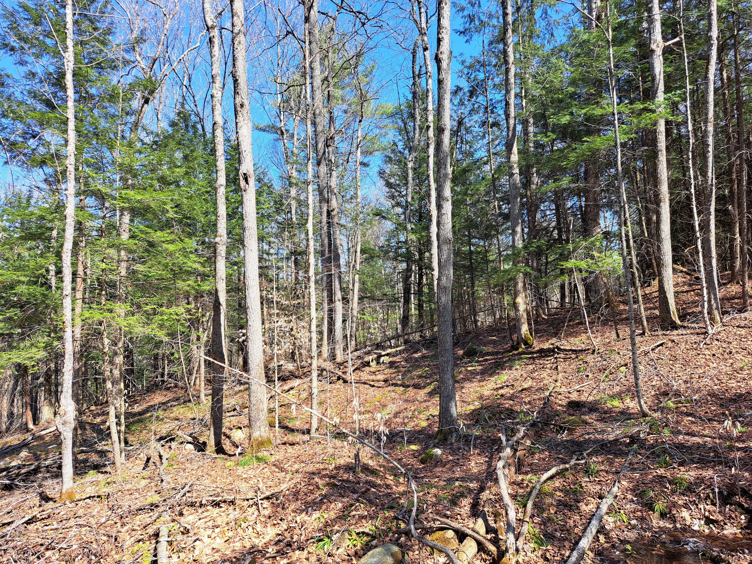 Listing Image 57
