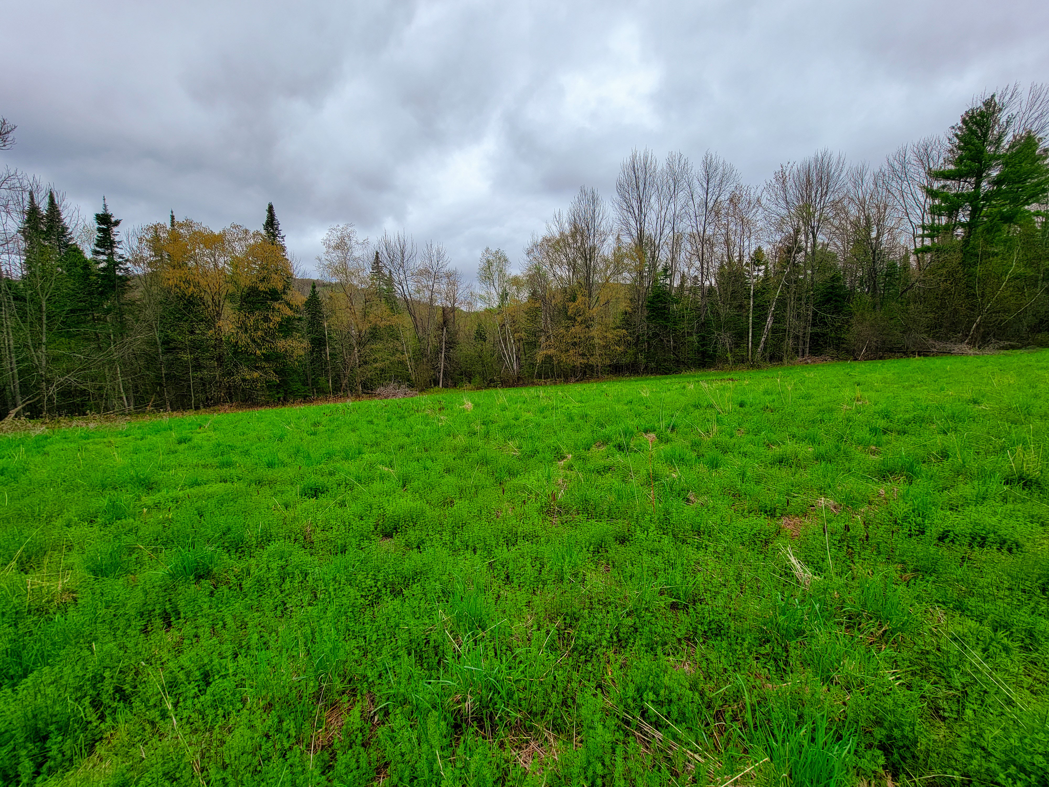 855 Campbell Rd - Waterford