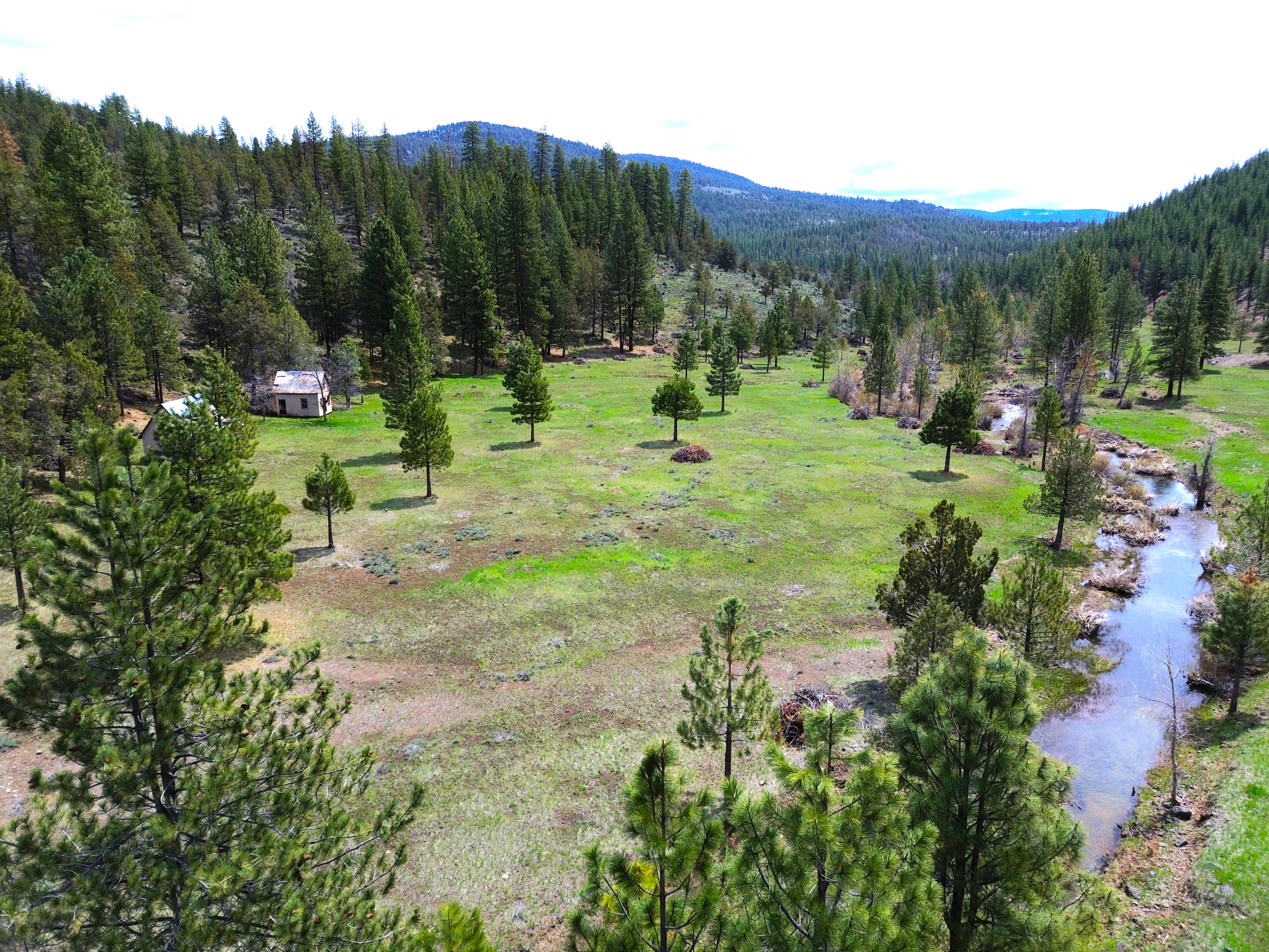 Johnson Creek Meadow