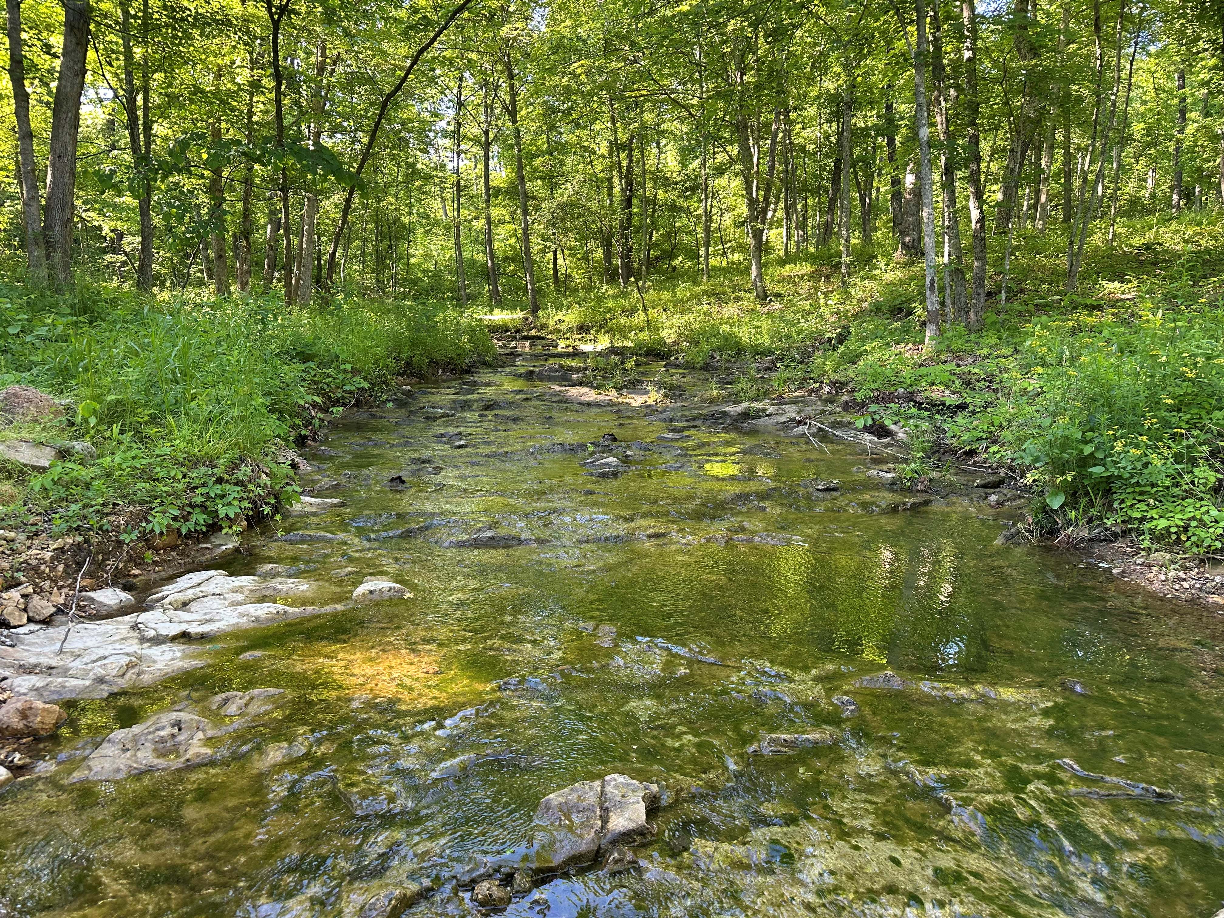 Mill Rock Creek 70