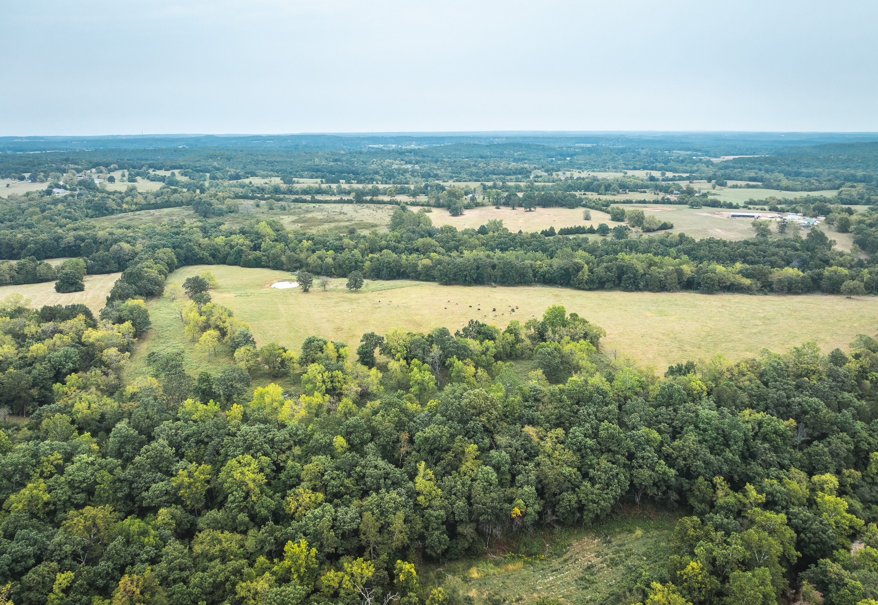 Twin Creek Farm
