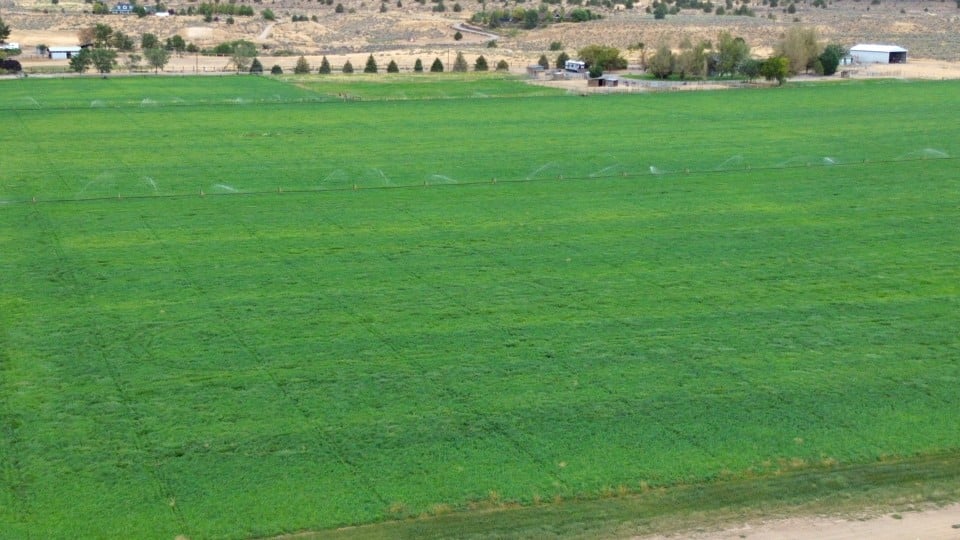 Listing Image 77