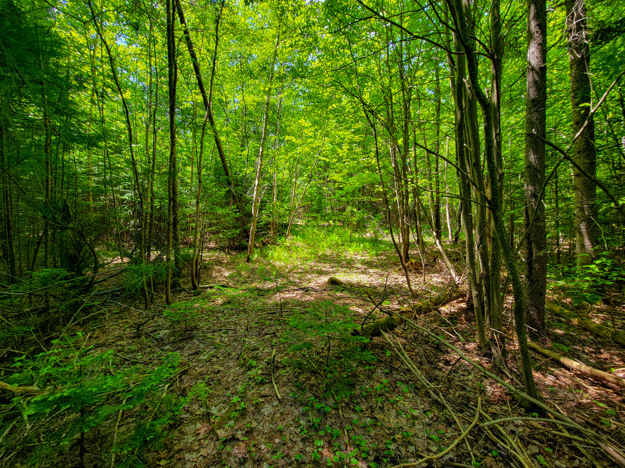 280 Gorham Hill Road - Gorham, NH