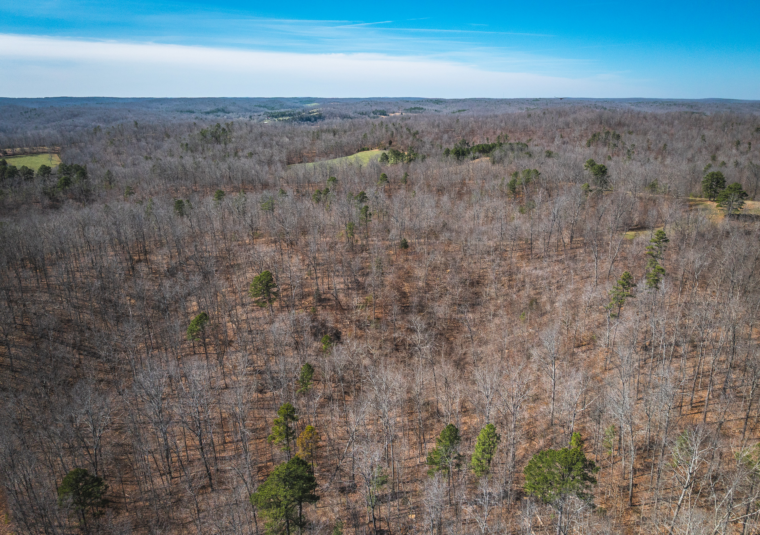 58 Acre Wildlife Retreat