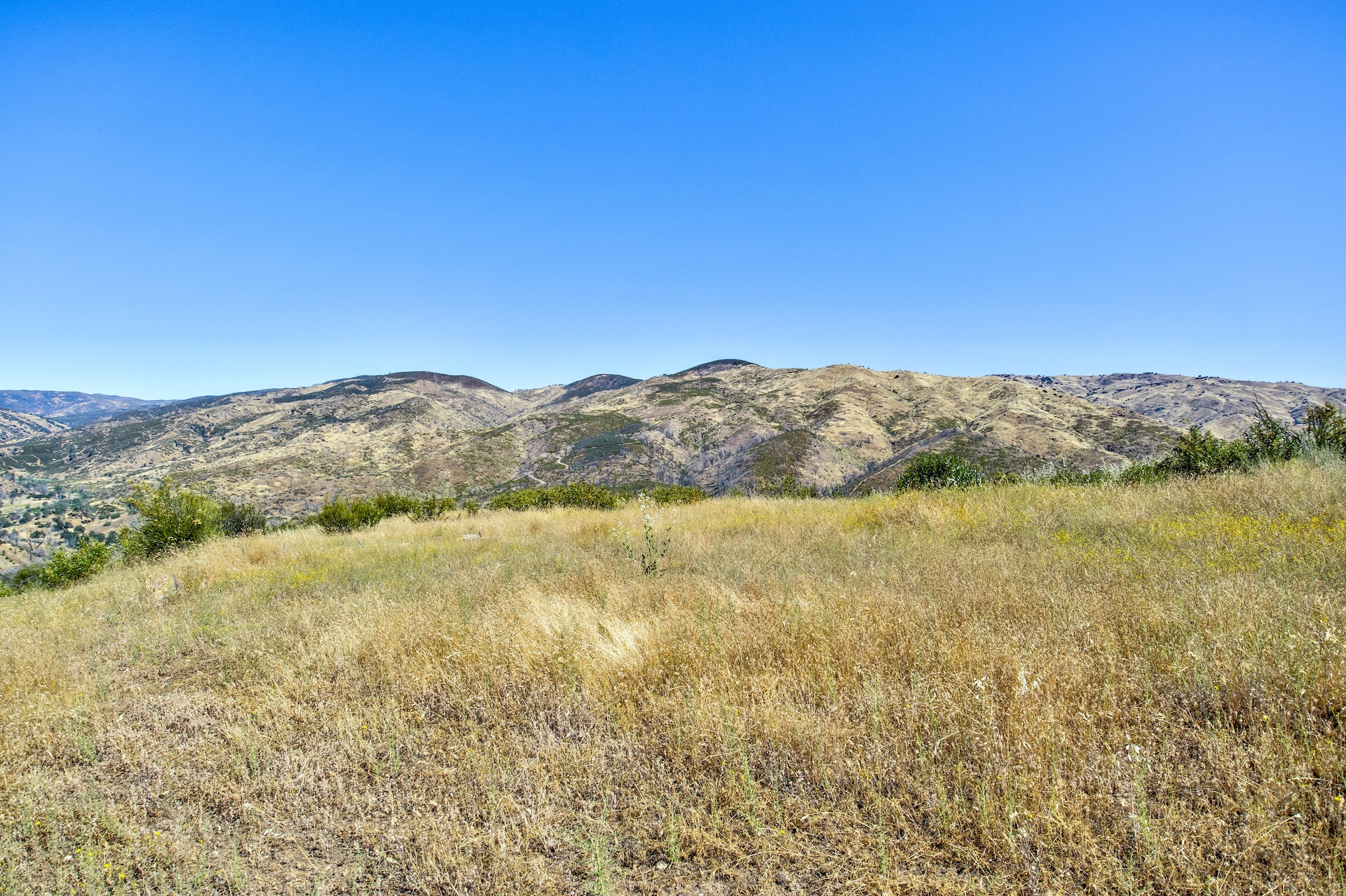 Old Iron Gate Ranch