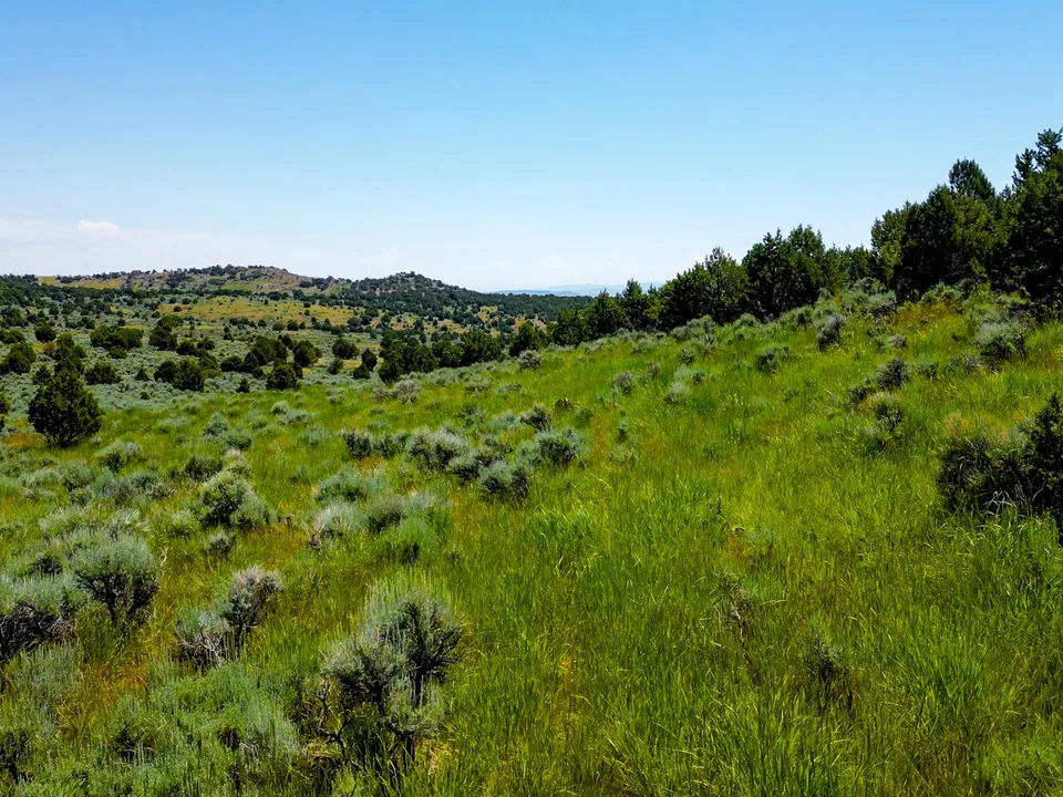 Maybell Grazing & Big Game Ranch