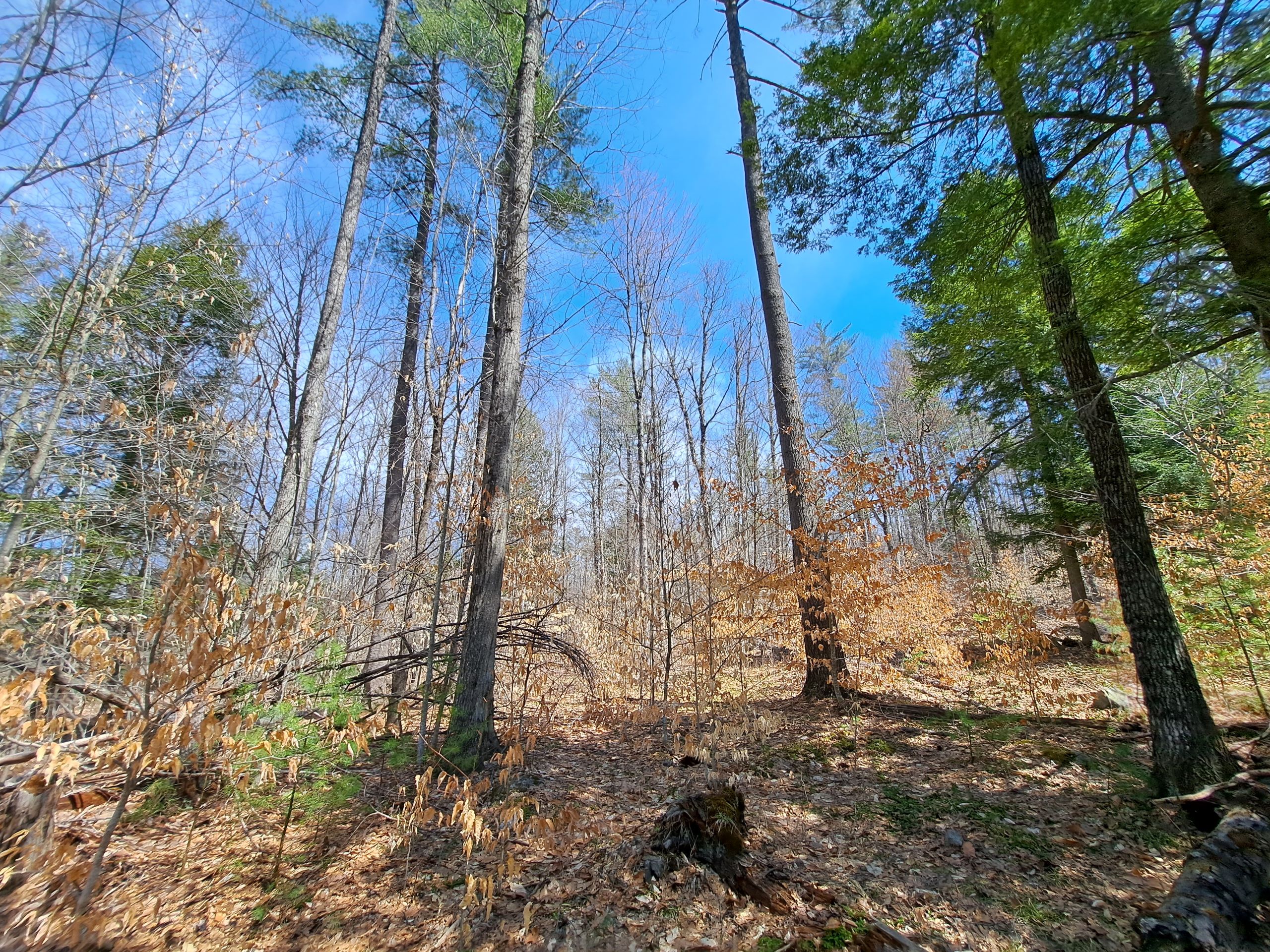 Listing Image 35