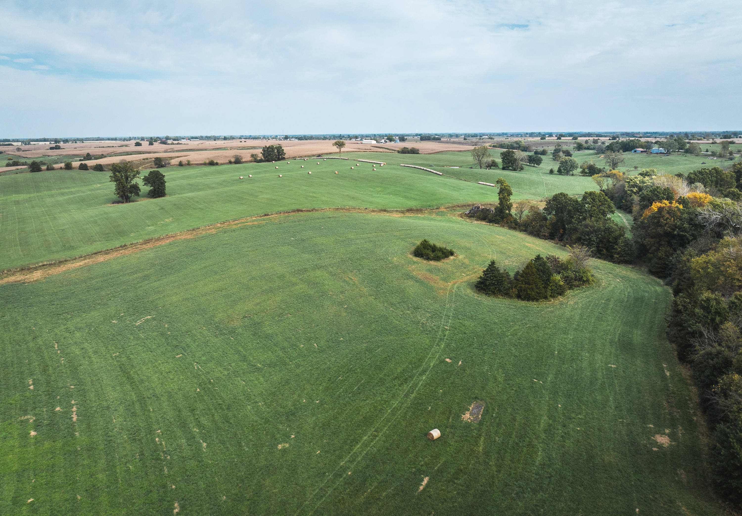 Listing Image 45