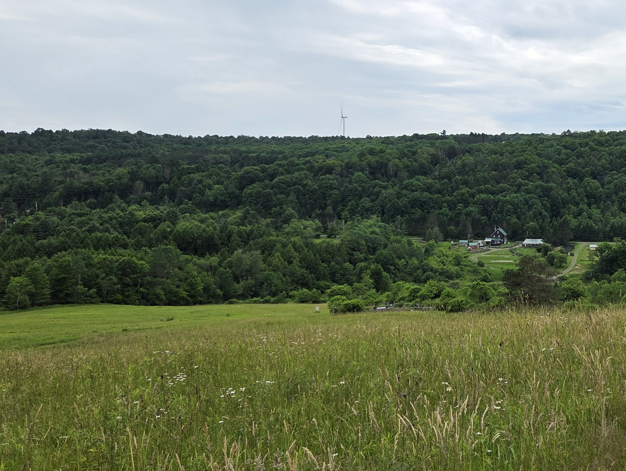 Listing Image 45