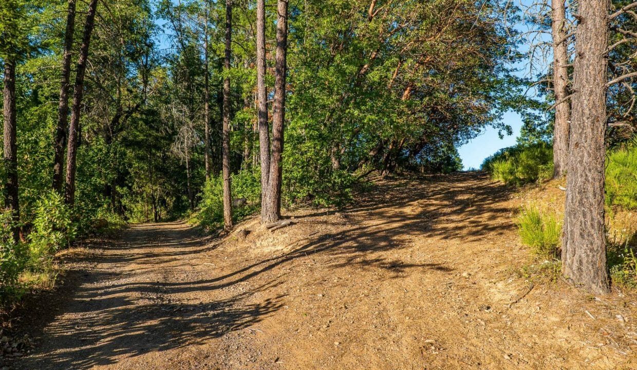Sauer's Flat Farm & Ranch