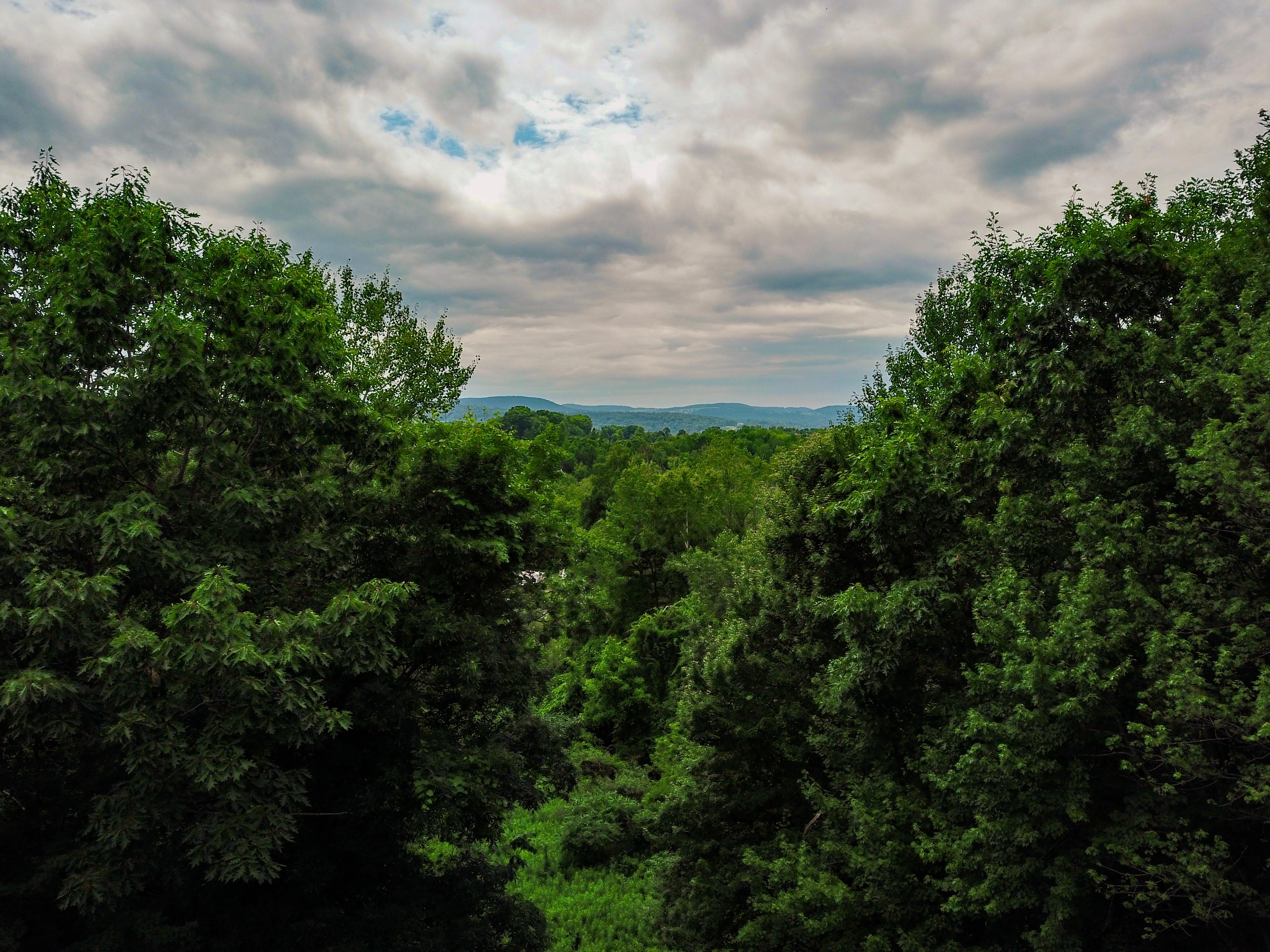 1073 Chapel Rd - Bennington