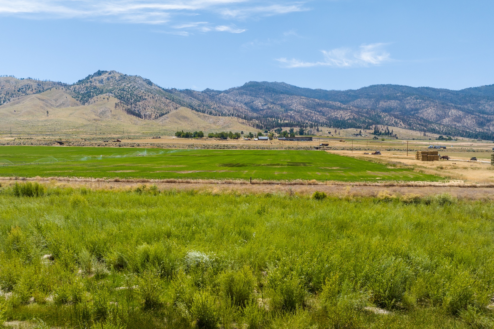 Constantia Ranch