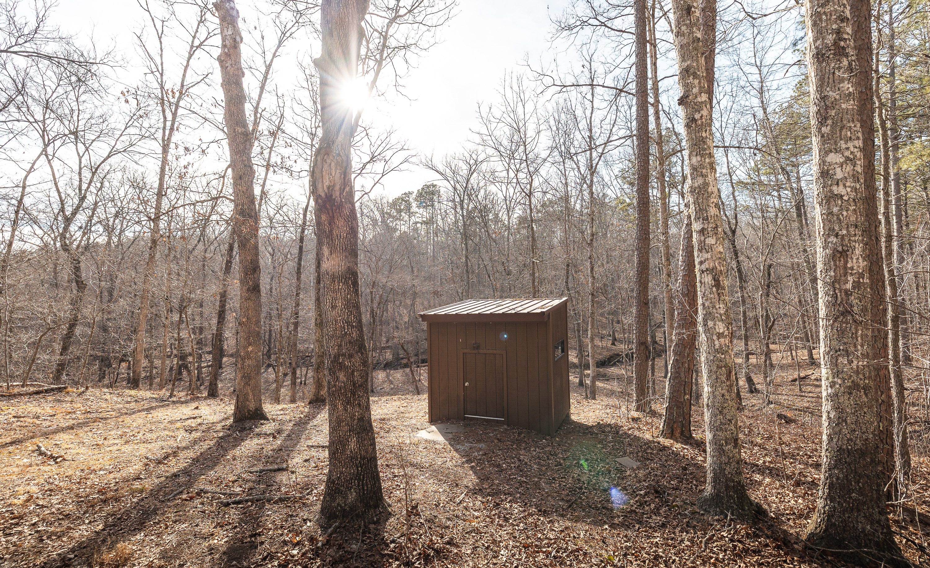 Curly Hole Camp at Peterball Spring