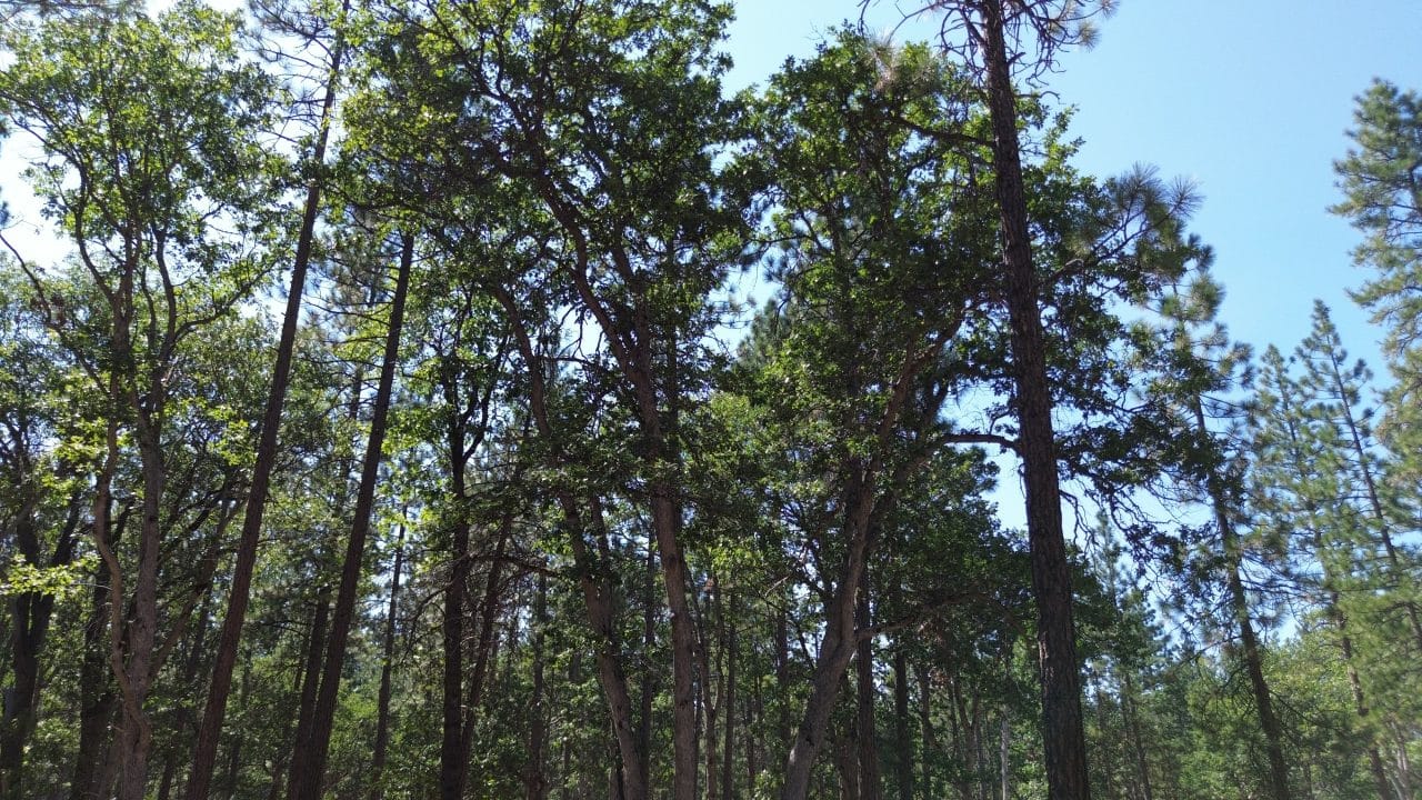 Listing Image 16