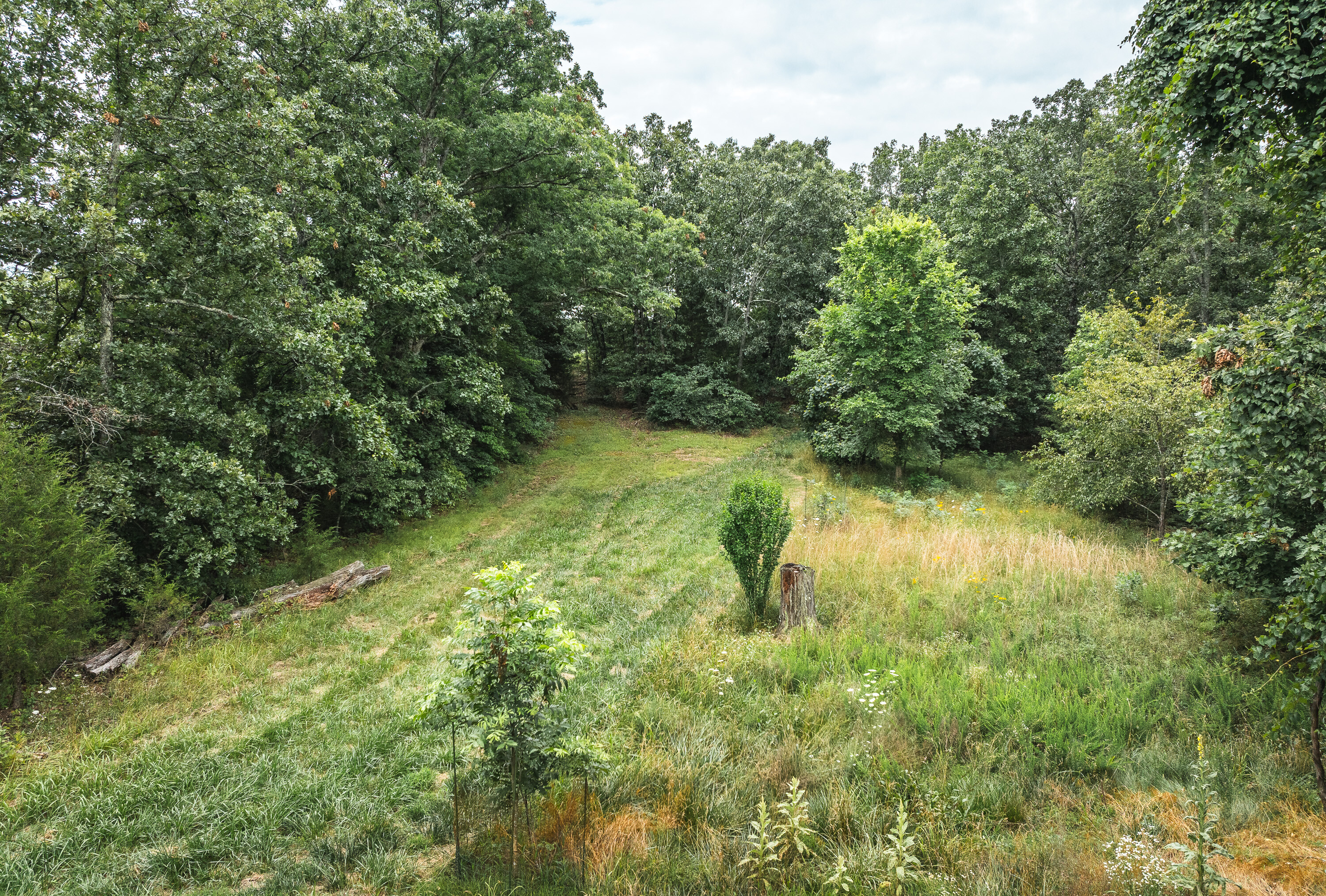 Phelps County Land & Timber 2 Tracts