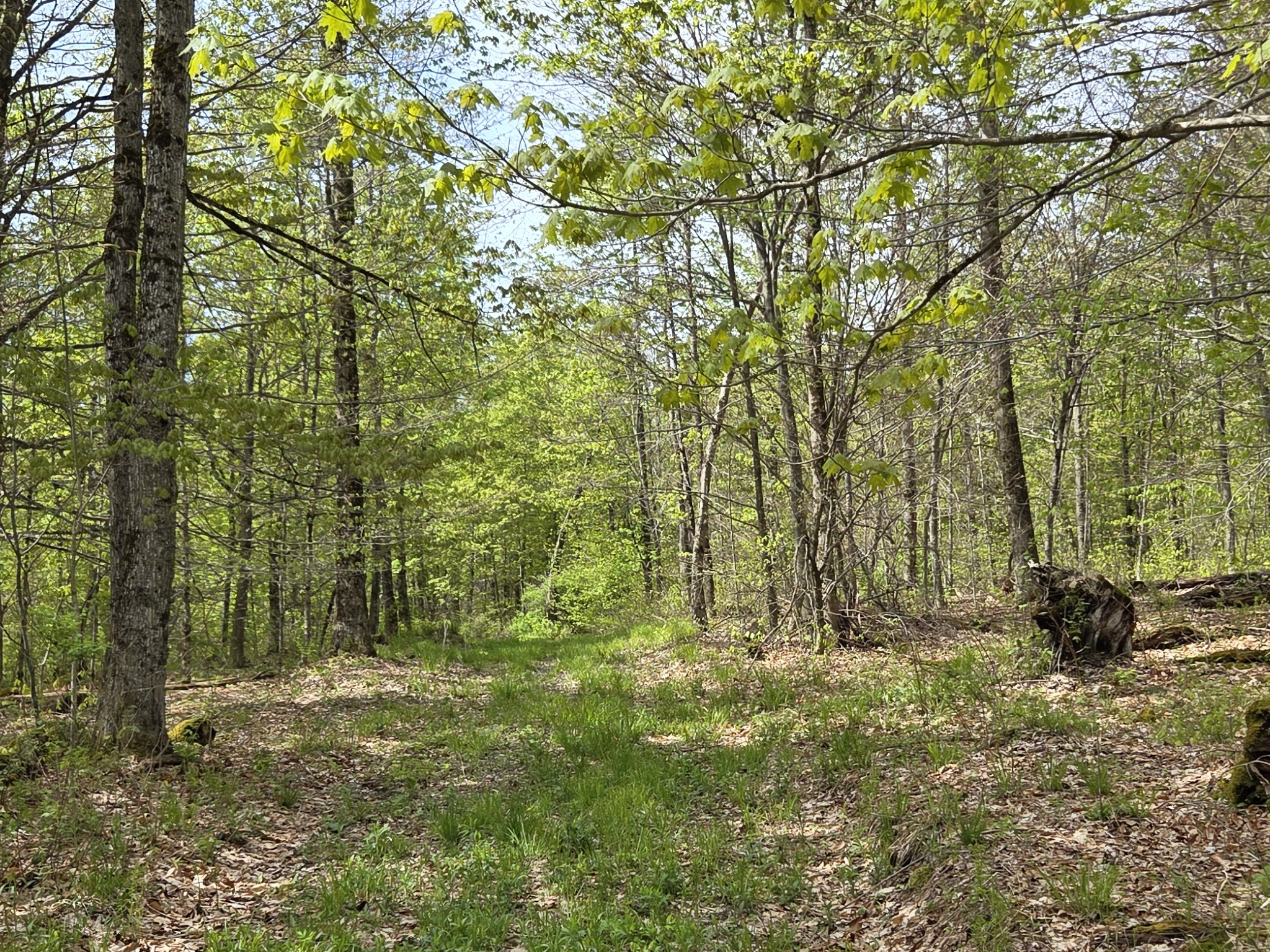Listing Image 34