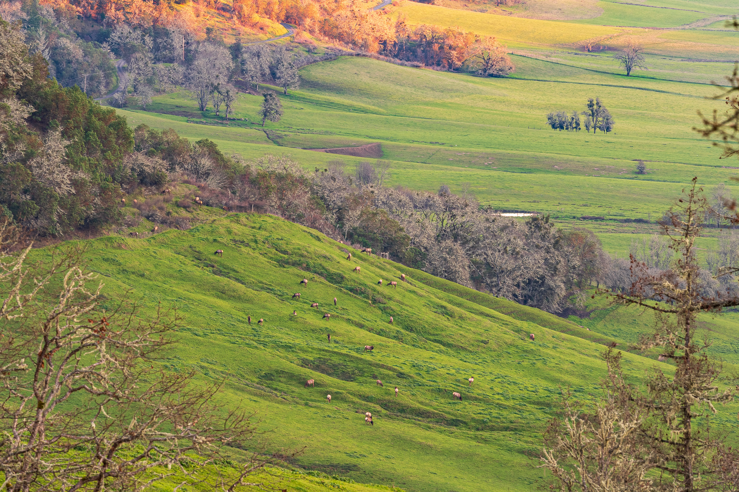 N Umpqua Ranch - 10181 N Umpqua Hwy