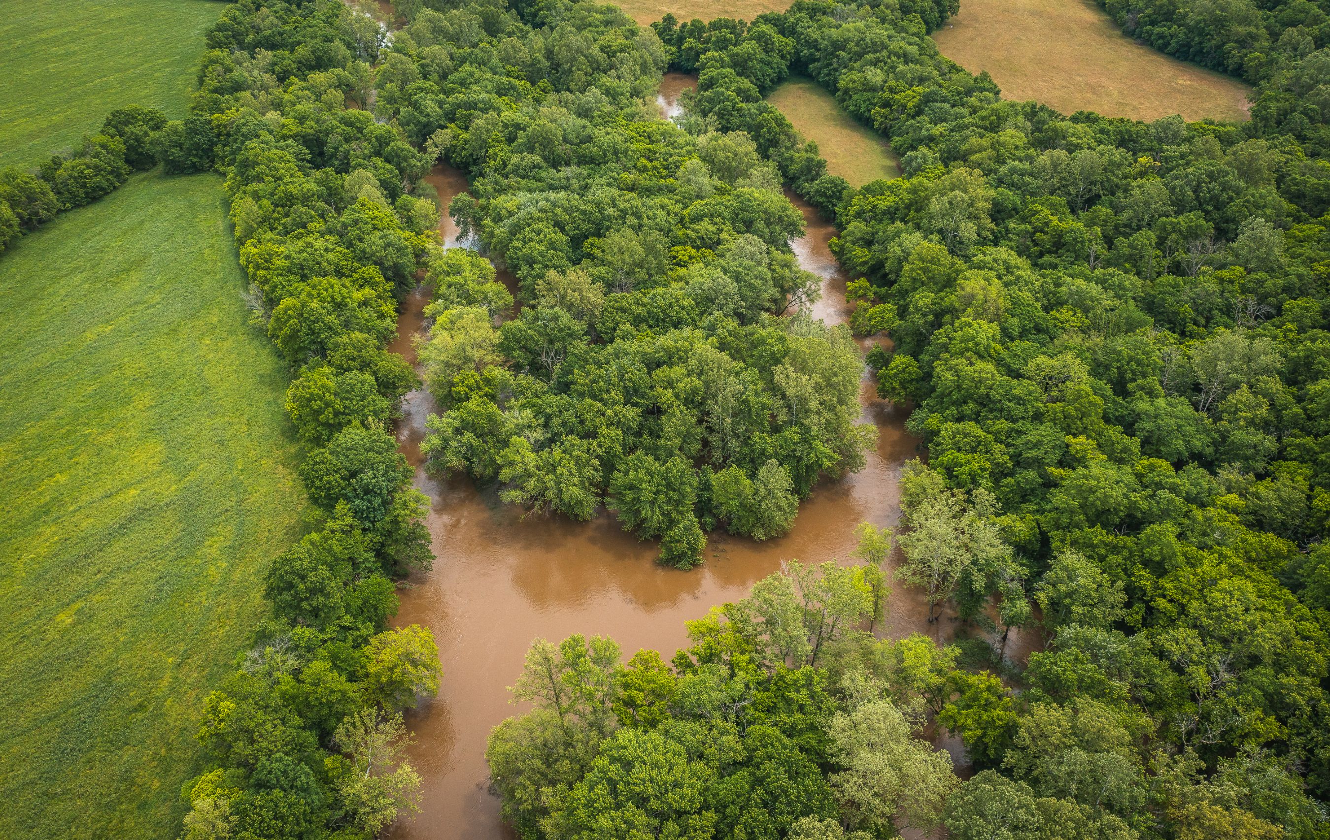 Gasconade Angus Ranch