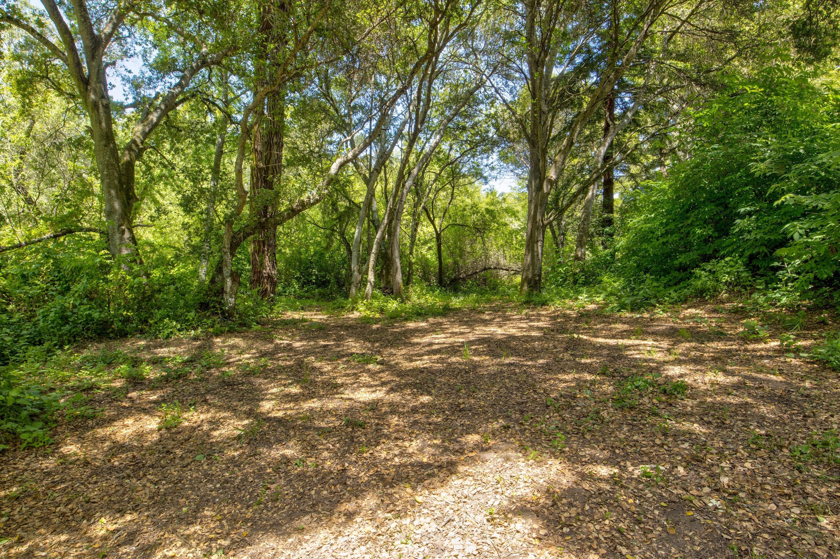 San Gregorio Creekside Farm