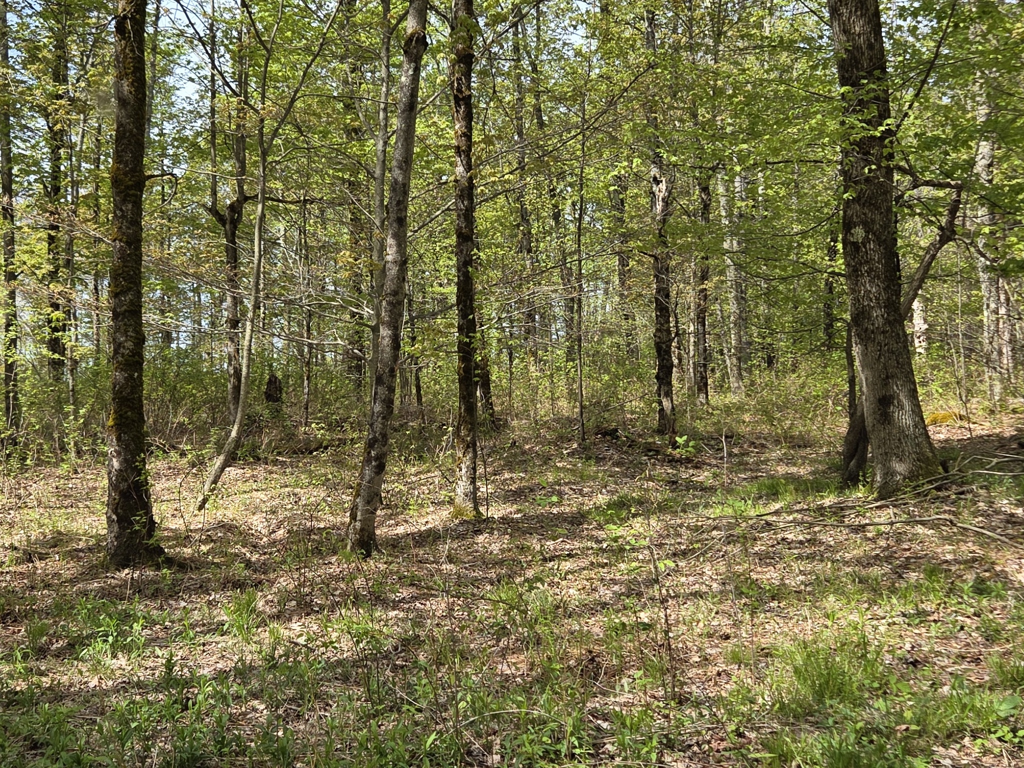 Listing Image 42