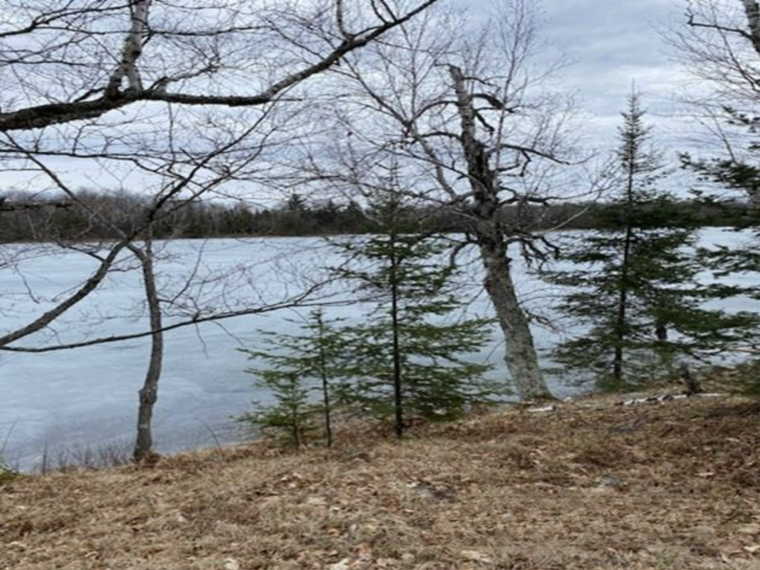 Maggie Lake Retreat 50136074