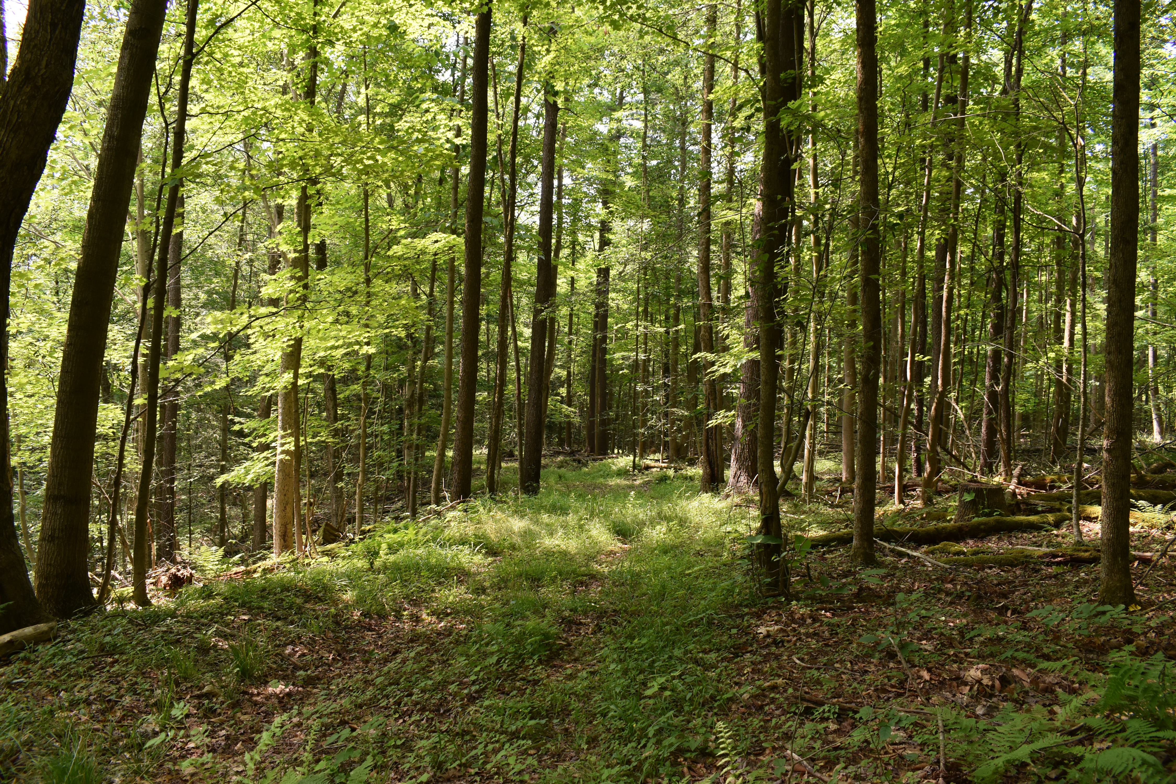 Listing Image 65