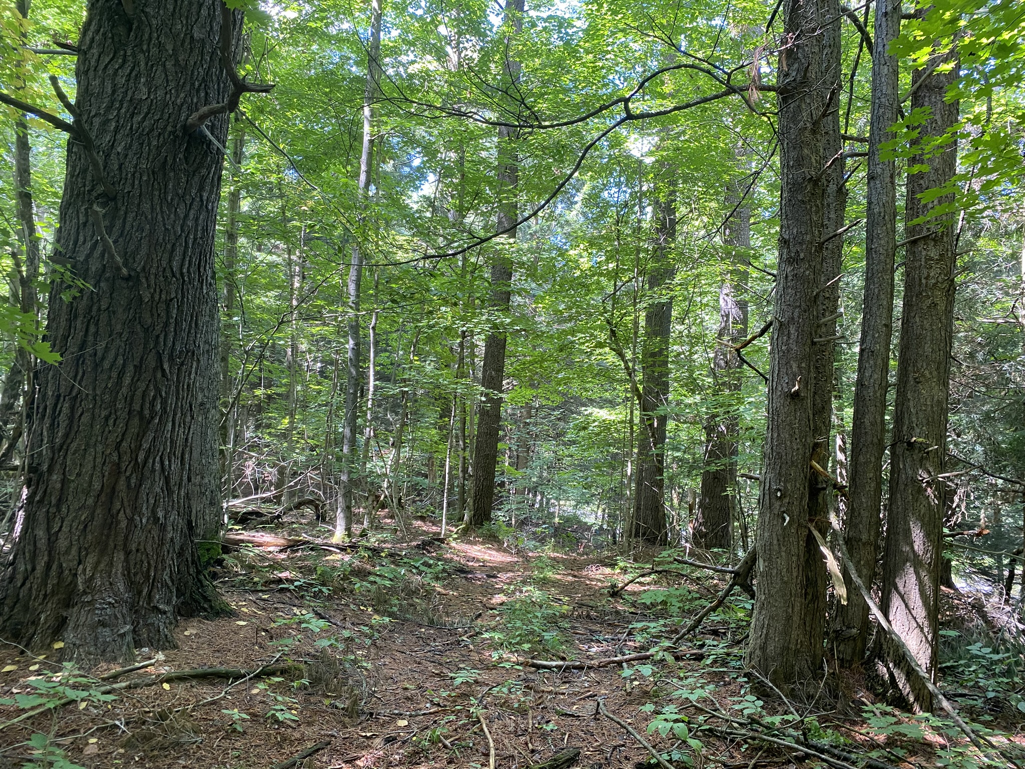 Listing Image 35