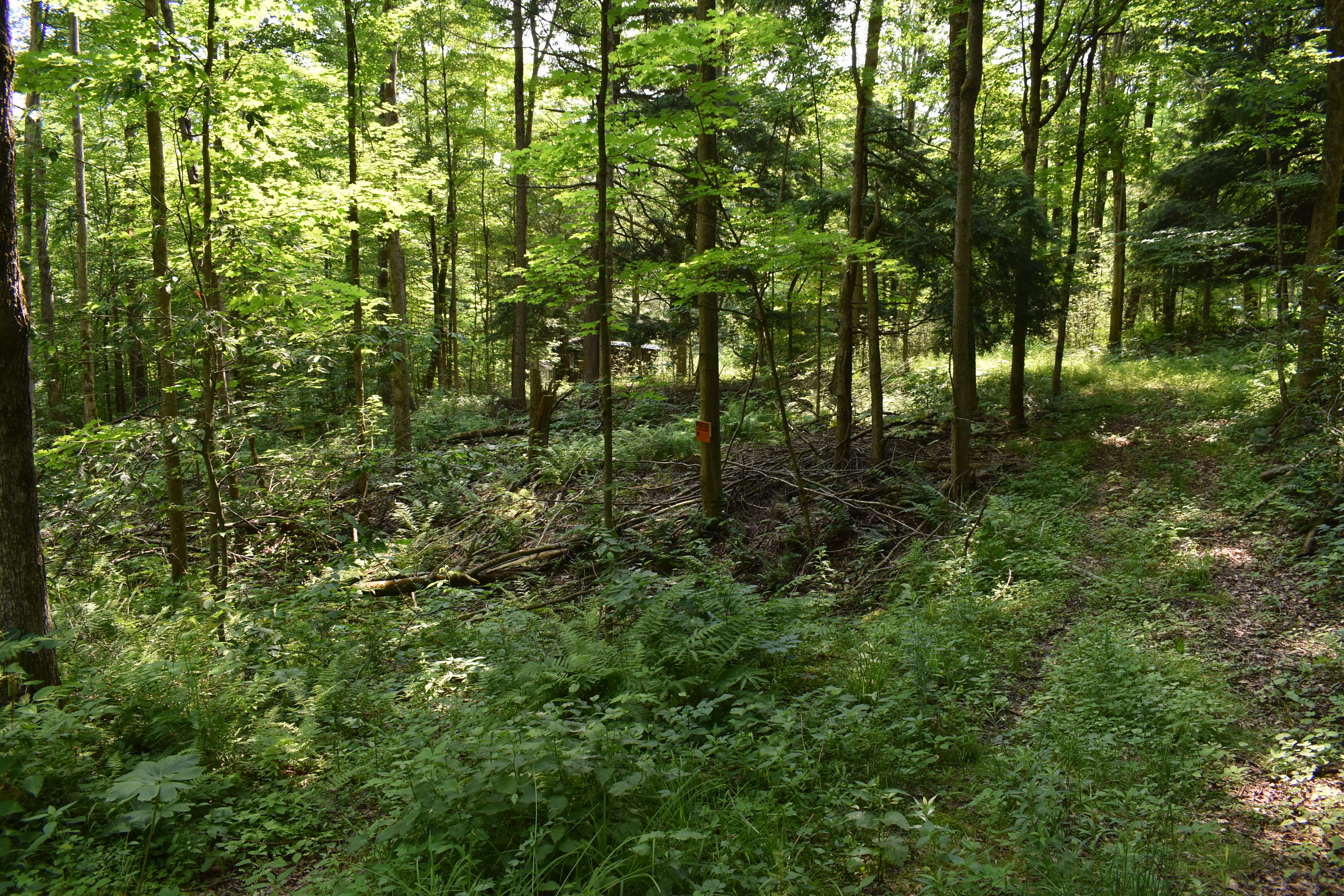 Listing Image 81