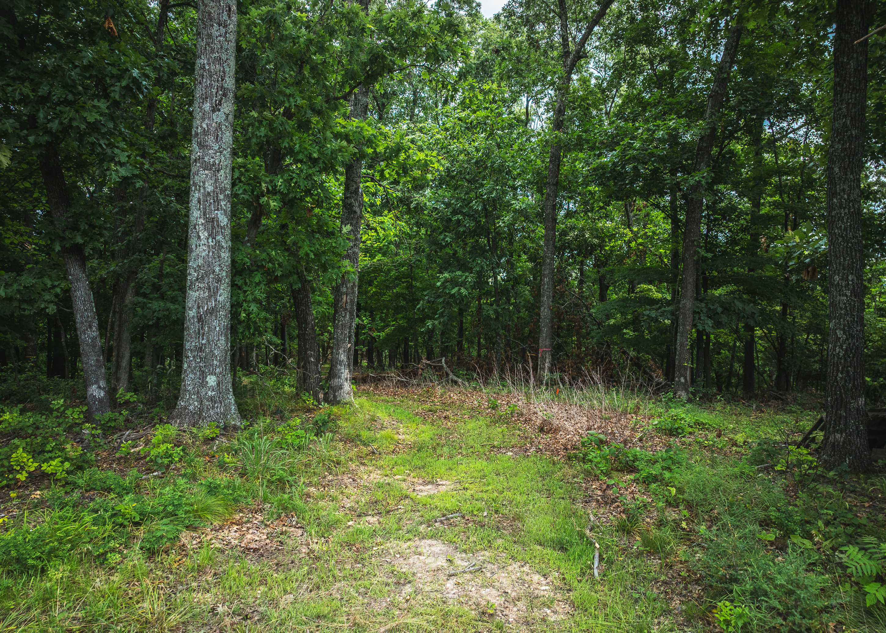 Listing Image 28