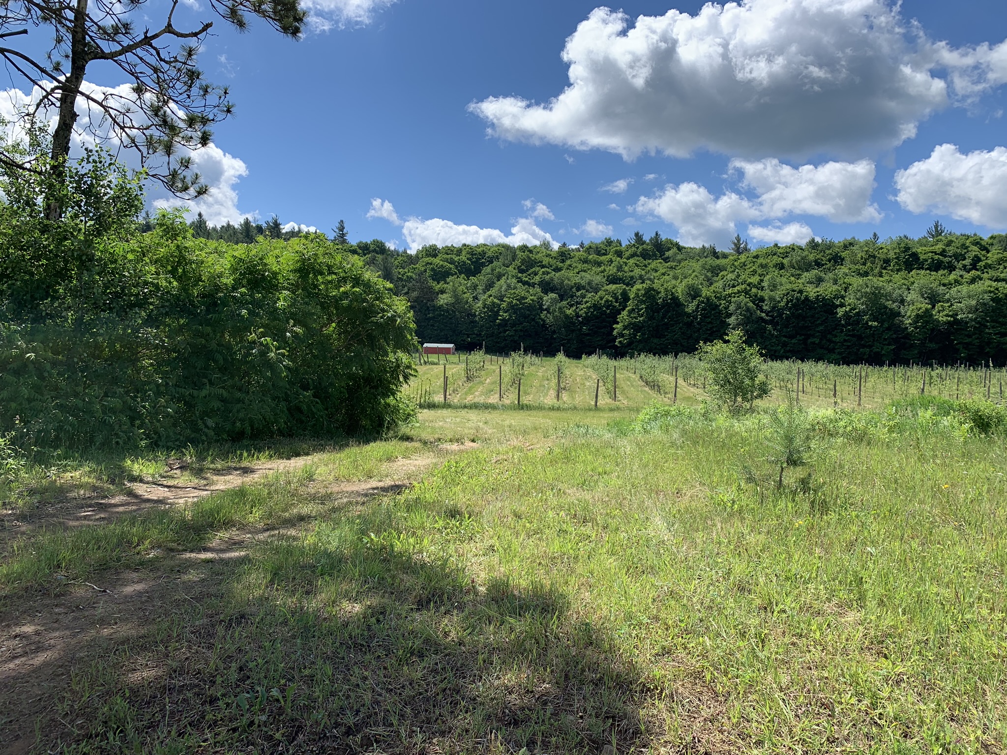 Listing Image 53