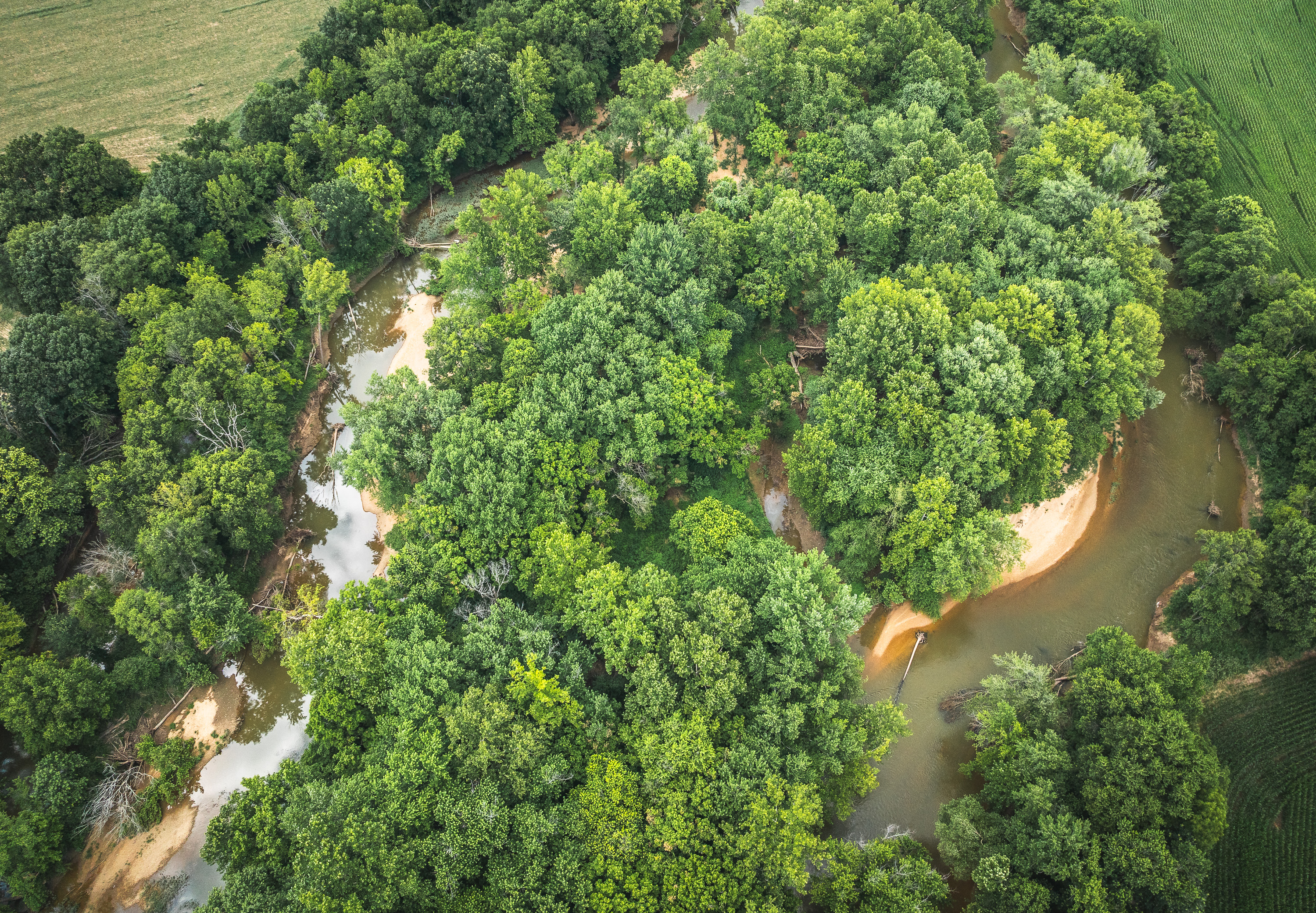 Gasconade Angus Ranch