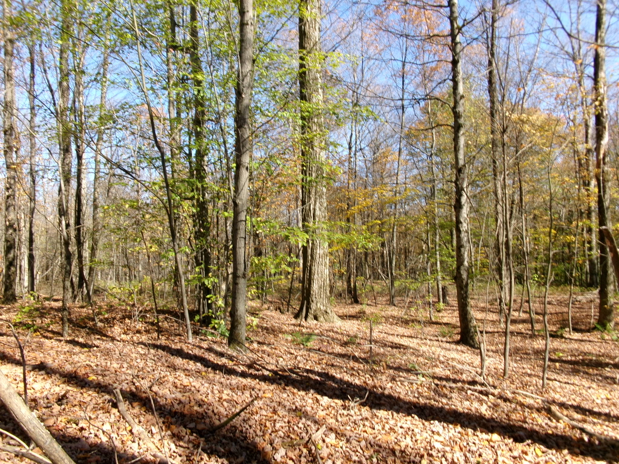 Listing Image 16