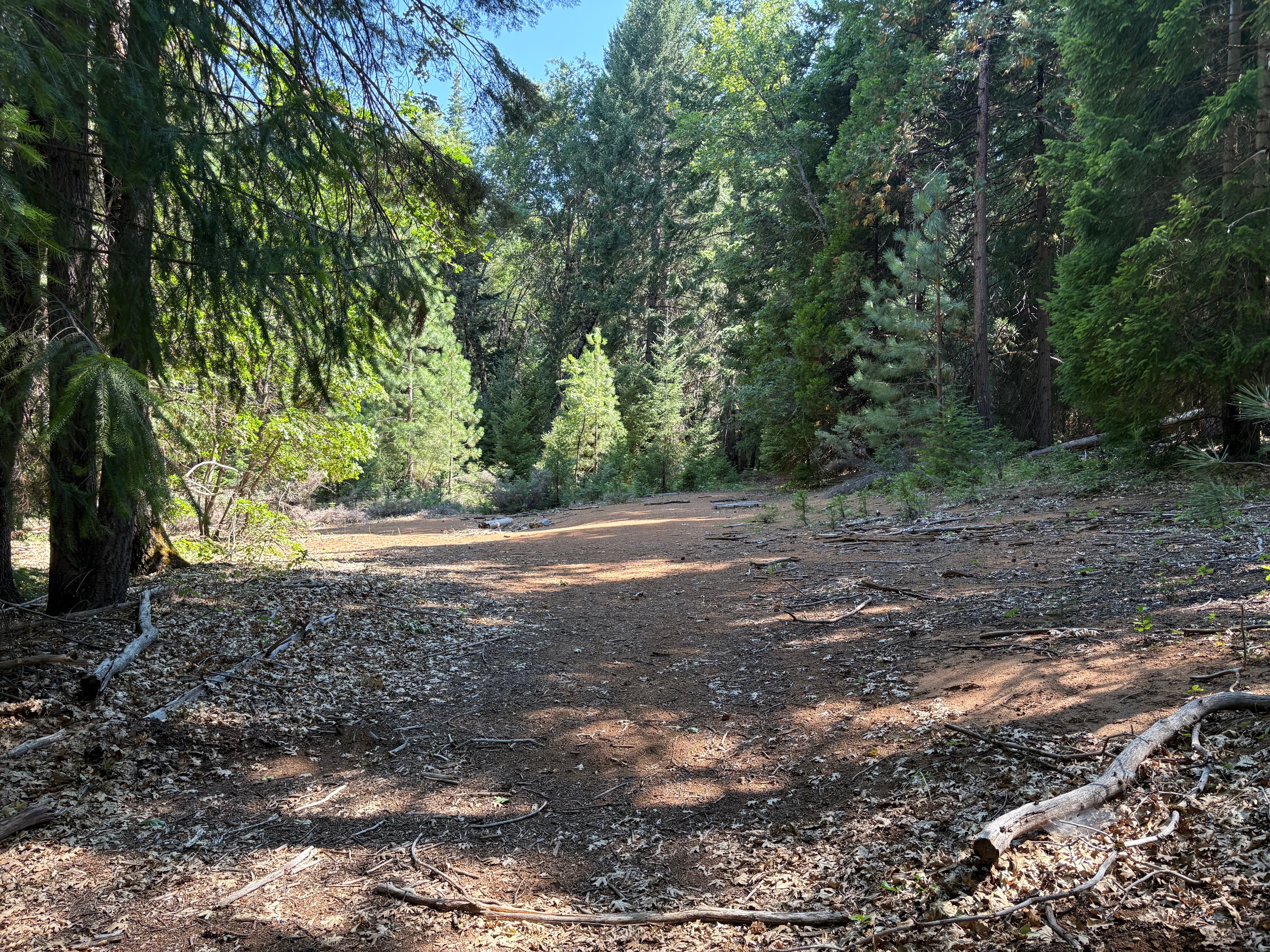 40 ACRES SISKIYOU (430)