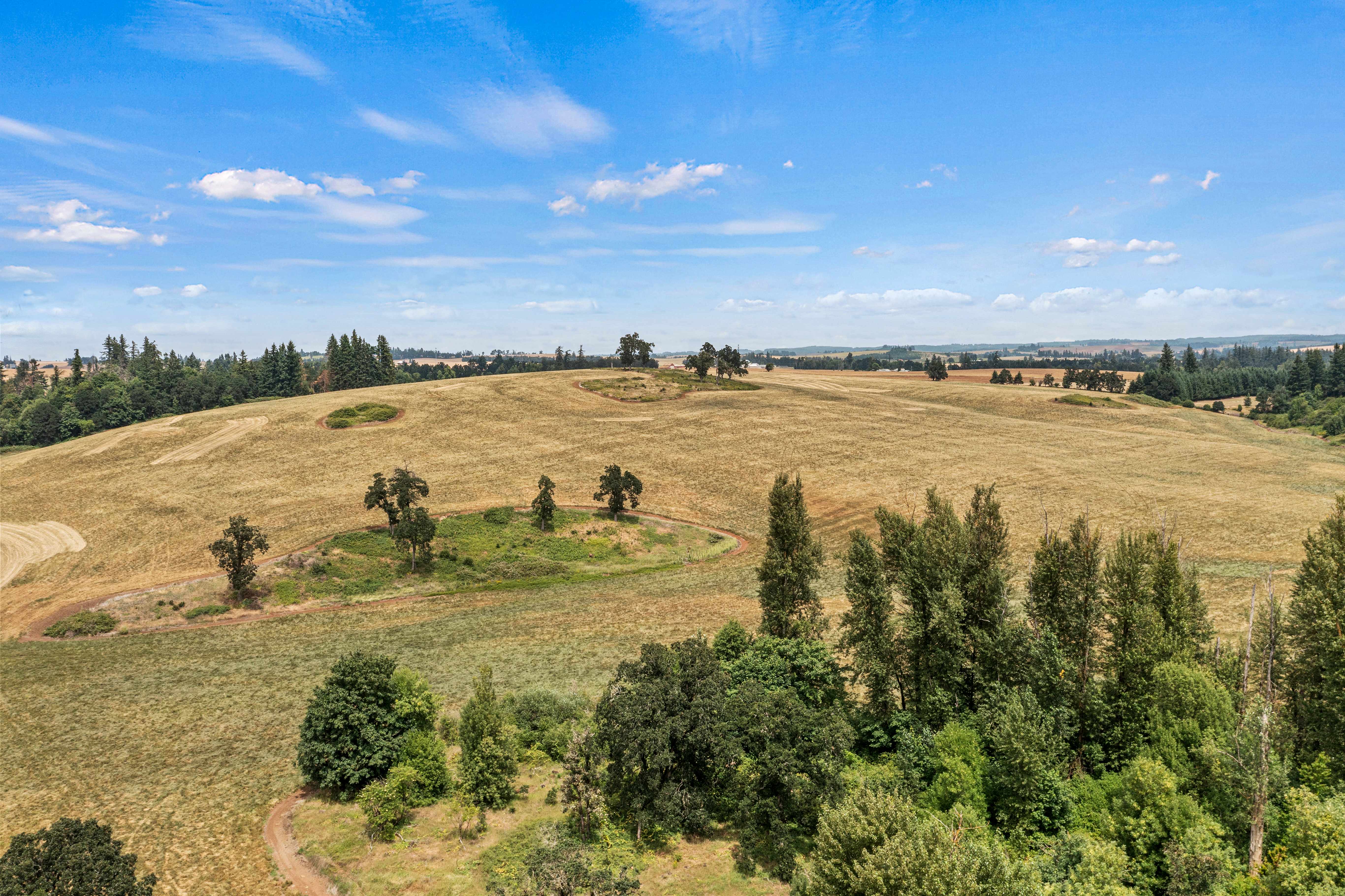 Sublimity 152 — Productive Willamette Valley Farm for Sale with Creek Frontage and Homesite Potential