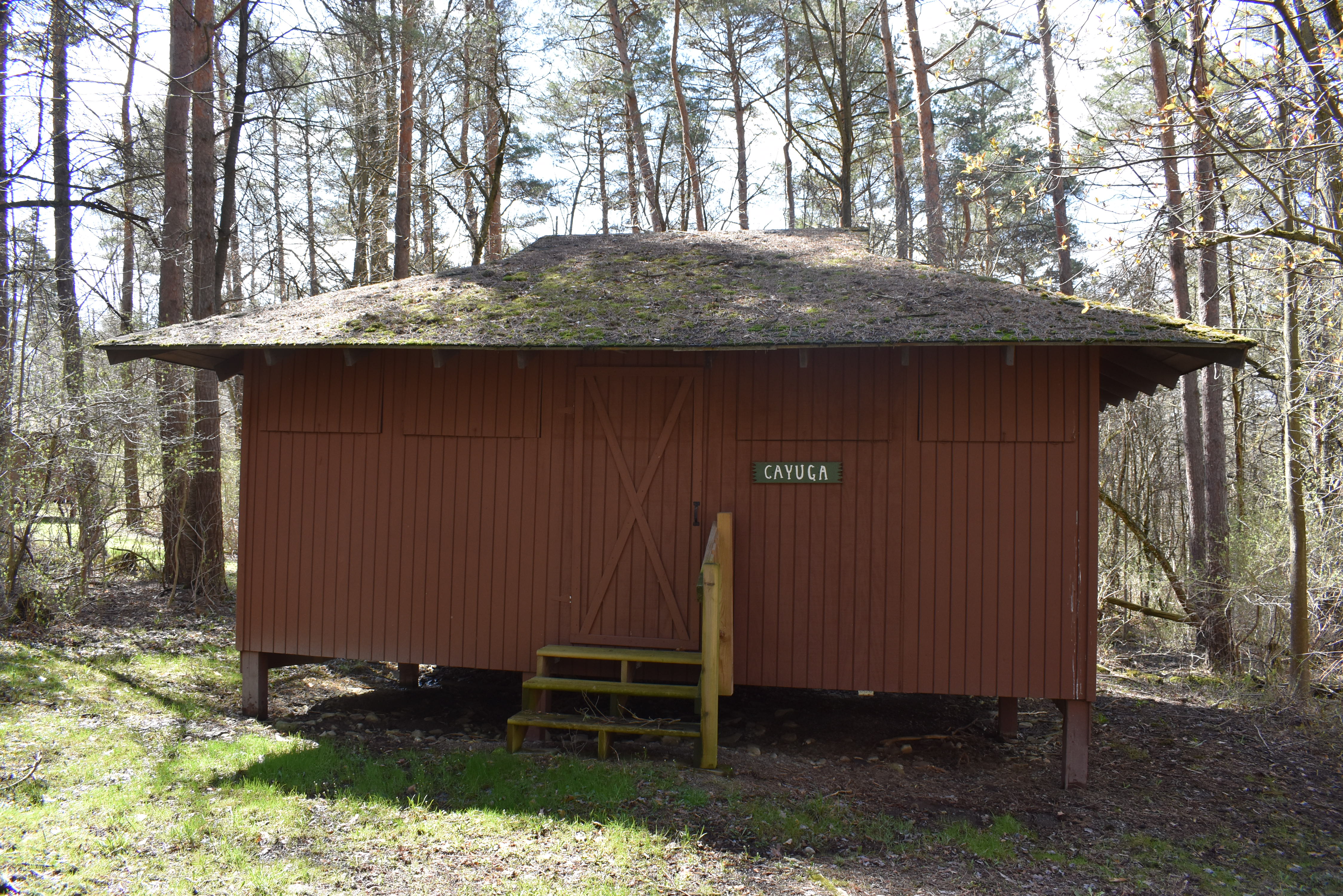 Listing Image 55